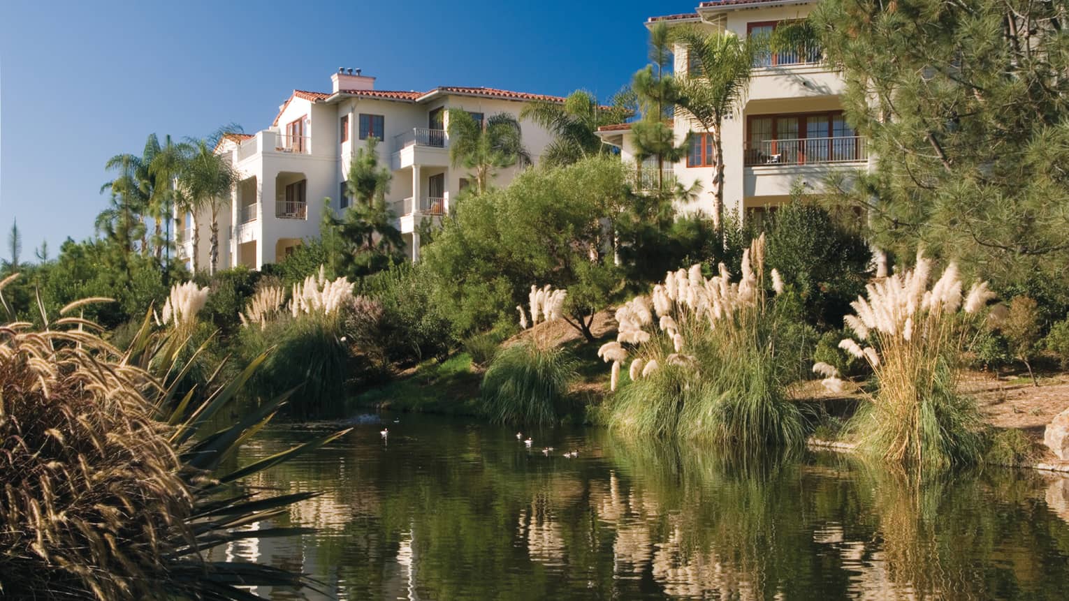 Exterior view of white, three-storey residence buildings with water, palm trees, pine trees and large grasses in foreground