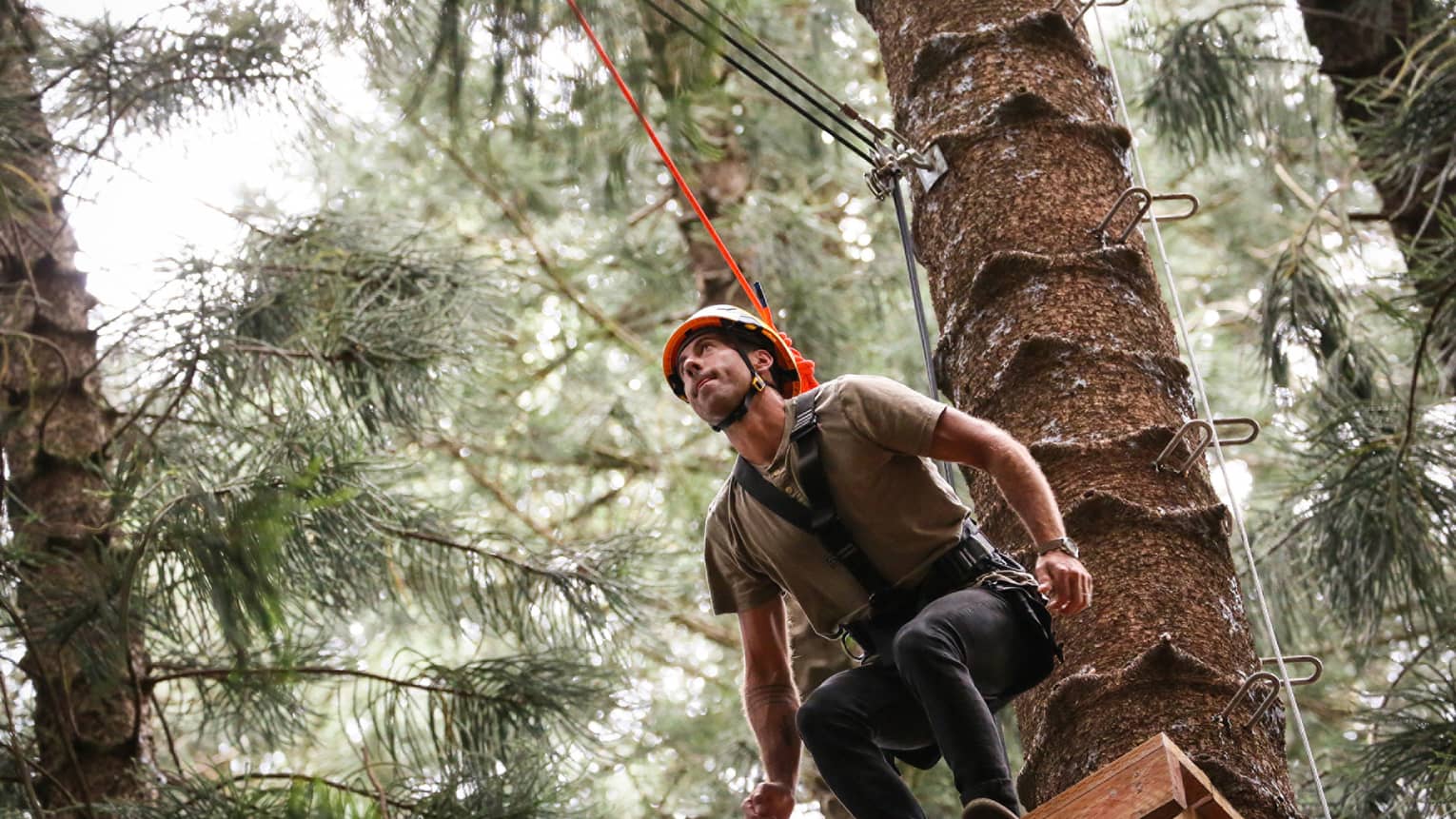 Man wearing harness and helmet prepares to leap from platform in tree