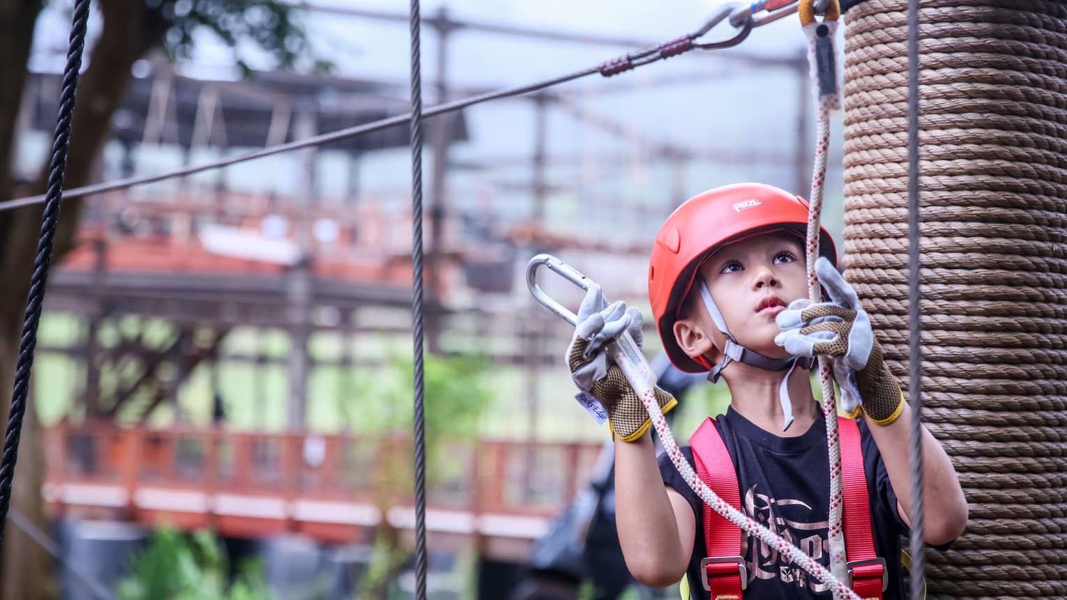 Young boy wearing helmet and harness holds clips and ropes