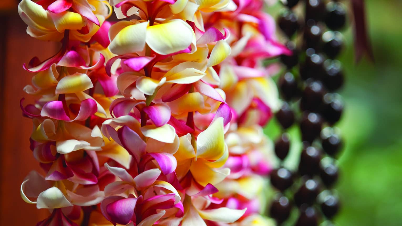 Close-up of fresh white, yellow and pink tropical flowers, strands of black beads