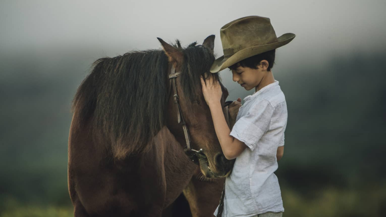 A young boy in a cowboy hat petting a horse in an open field