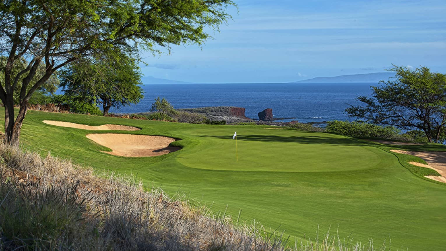 Golf course lawn and tree with ocean in background