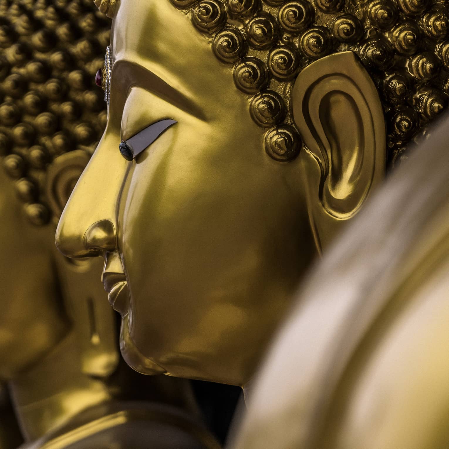 Two gold statues, side of women's face showing nose, ears, closed eyes and hair