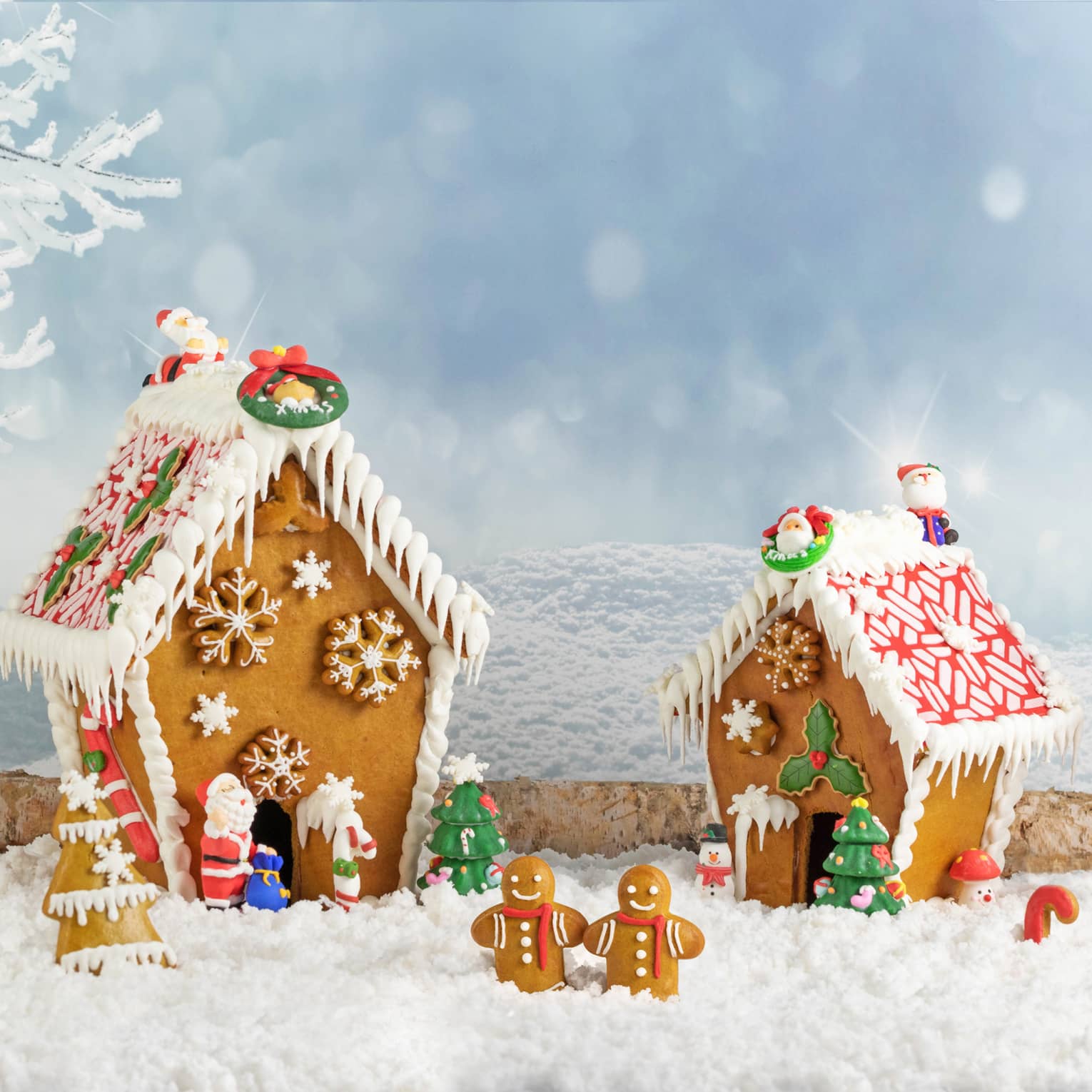 Gingerbread house display