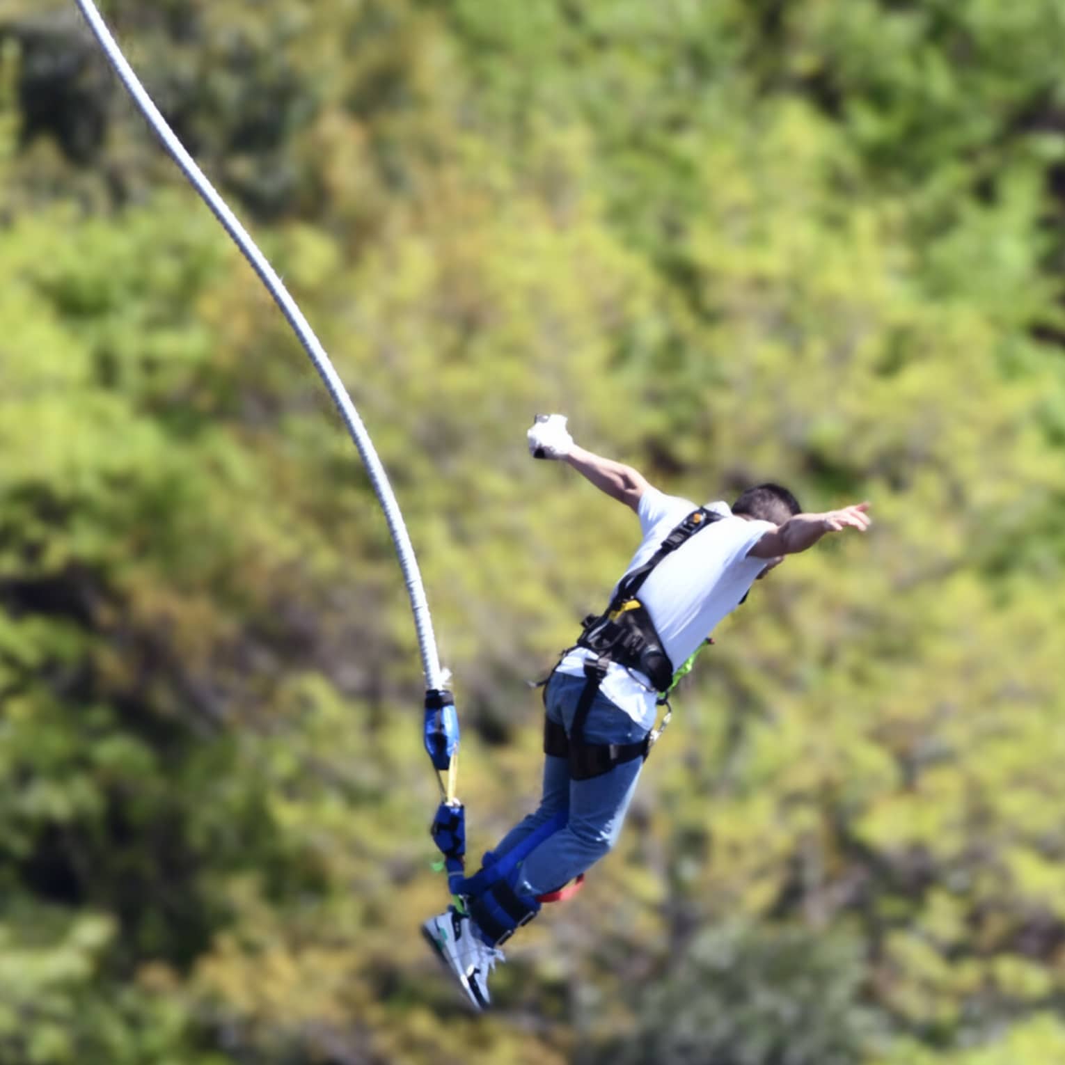 Man wearing white short-sleeve t-shirt and blue pants bungee jumps through the air with green trees in the background
