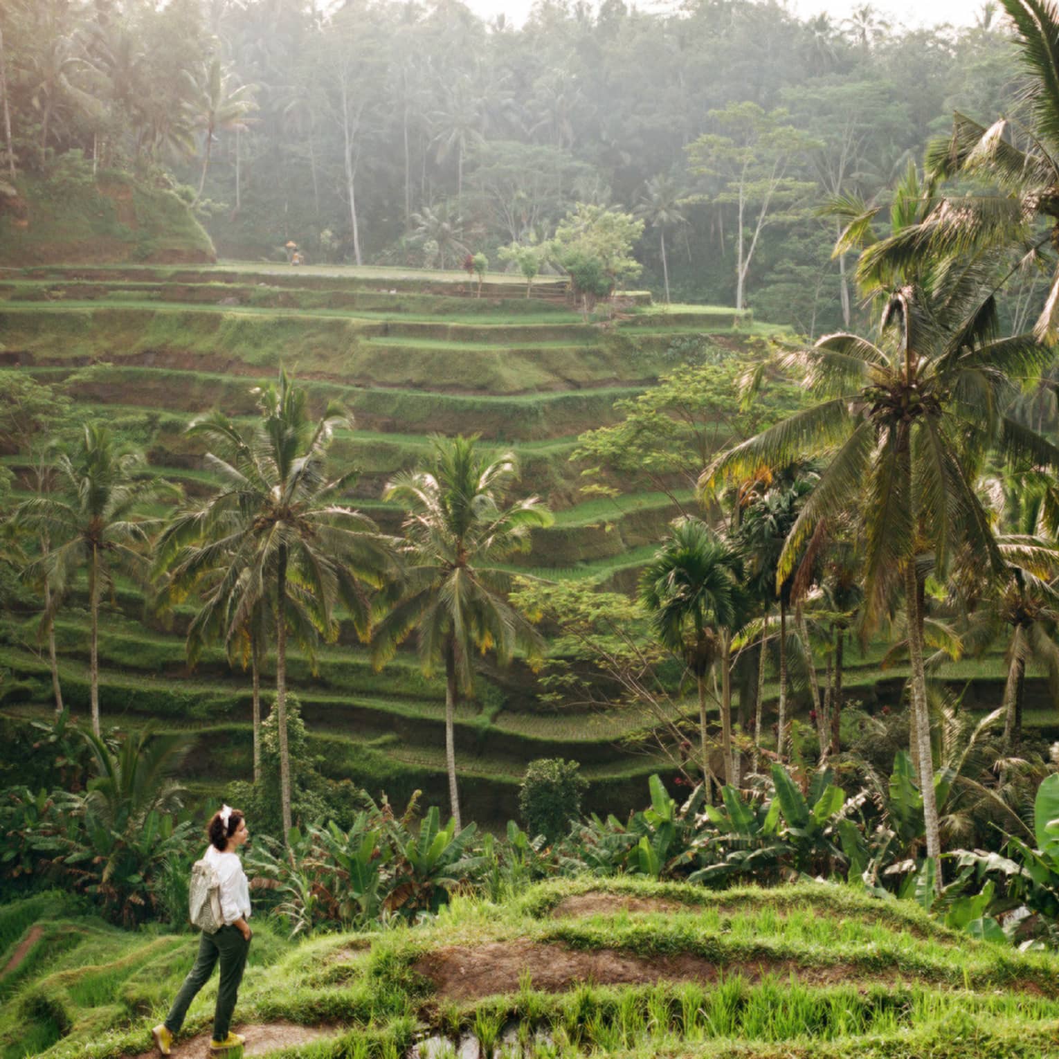 Side view of a guest strolling along a grass-lined trail, palm trees and tiered rice terraces rising in the lush distance.