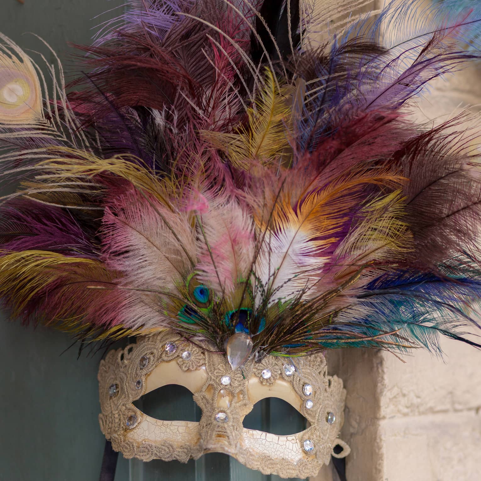 Colourful Mardi Gras mask with peacock feathers
