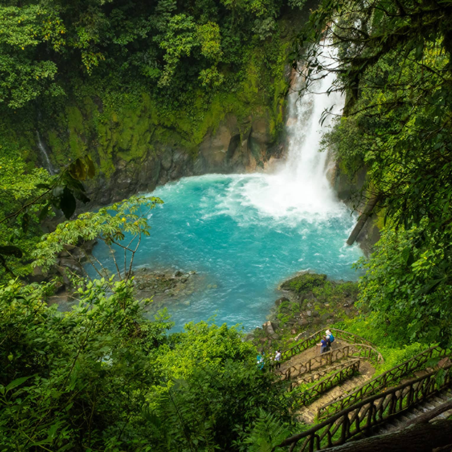 Waterfall surrounded by deep green jungle