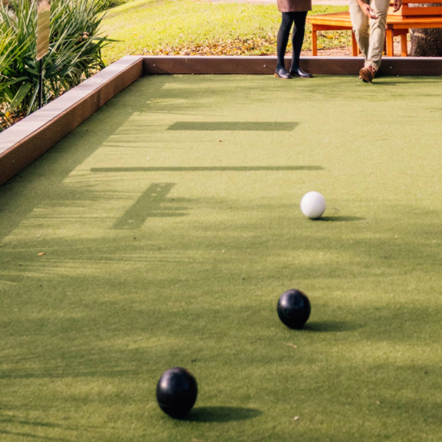 Two people play bocce ball beneath a tree