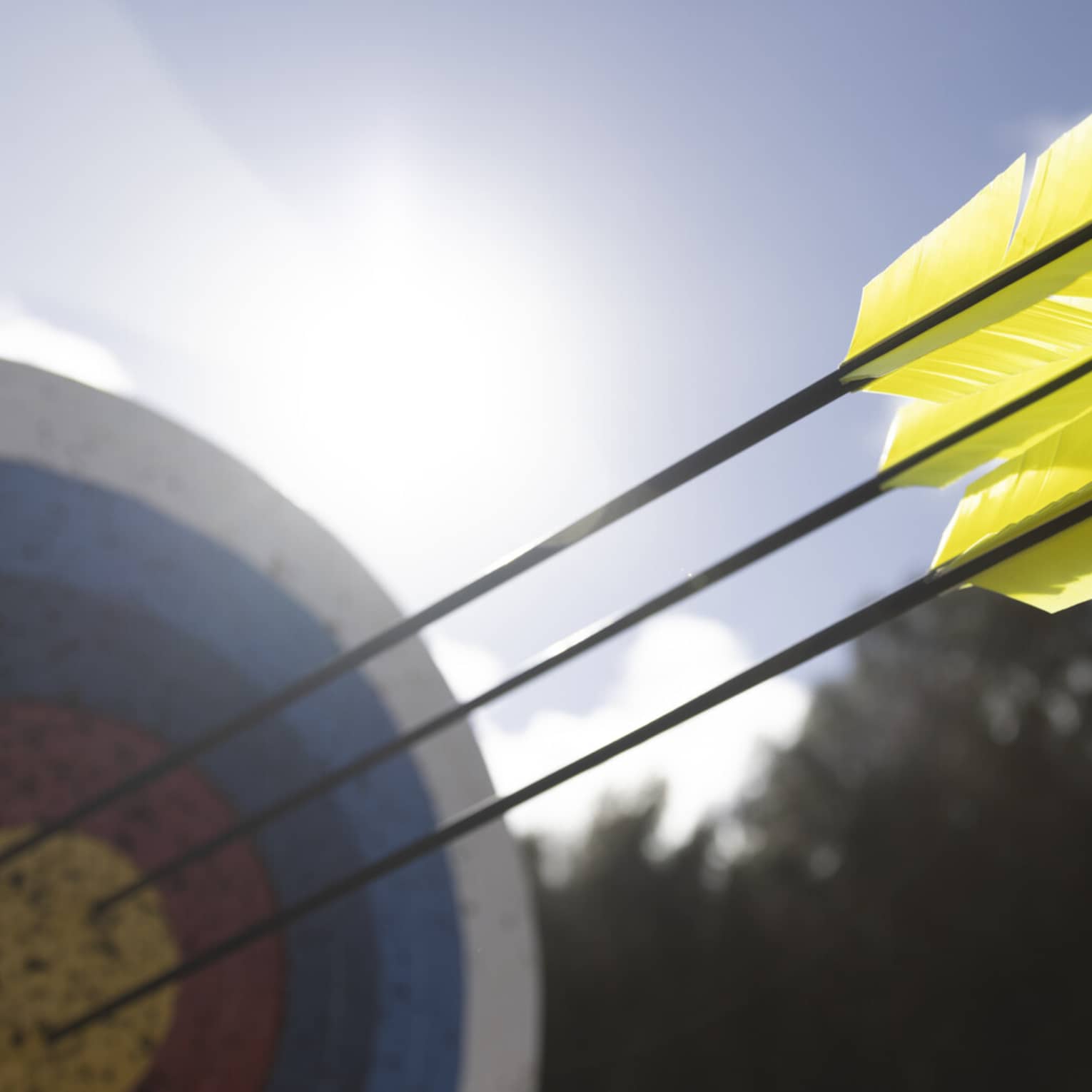 A close-up of yellow feathered arrows that had struck the bull’s eye of a heavily used ringed archery target on a sunny day.