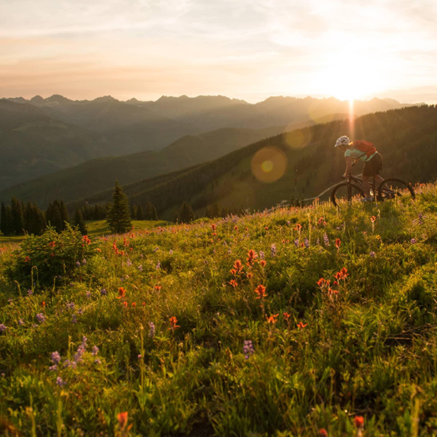 Sun sets over mountain meadow