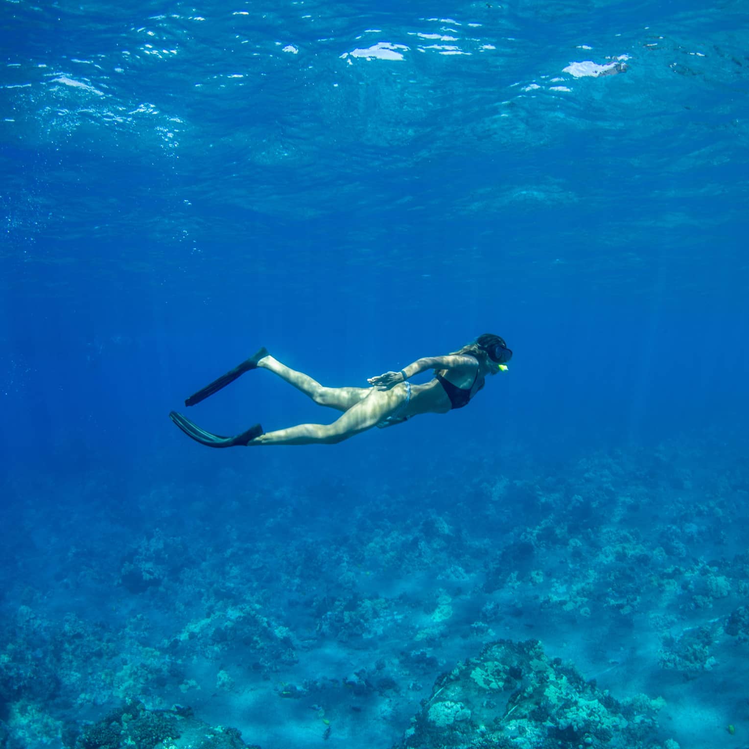 A snorkeller in black flippers and mask explores a rocky coral reef below, as rays of sunlight filter from above the blue water.
