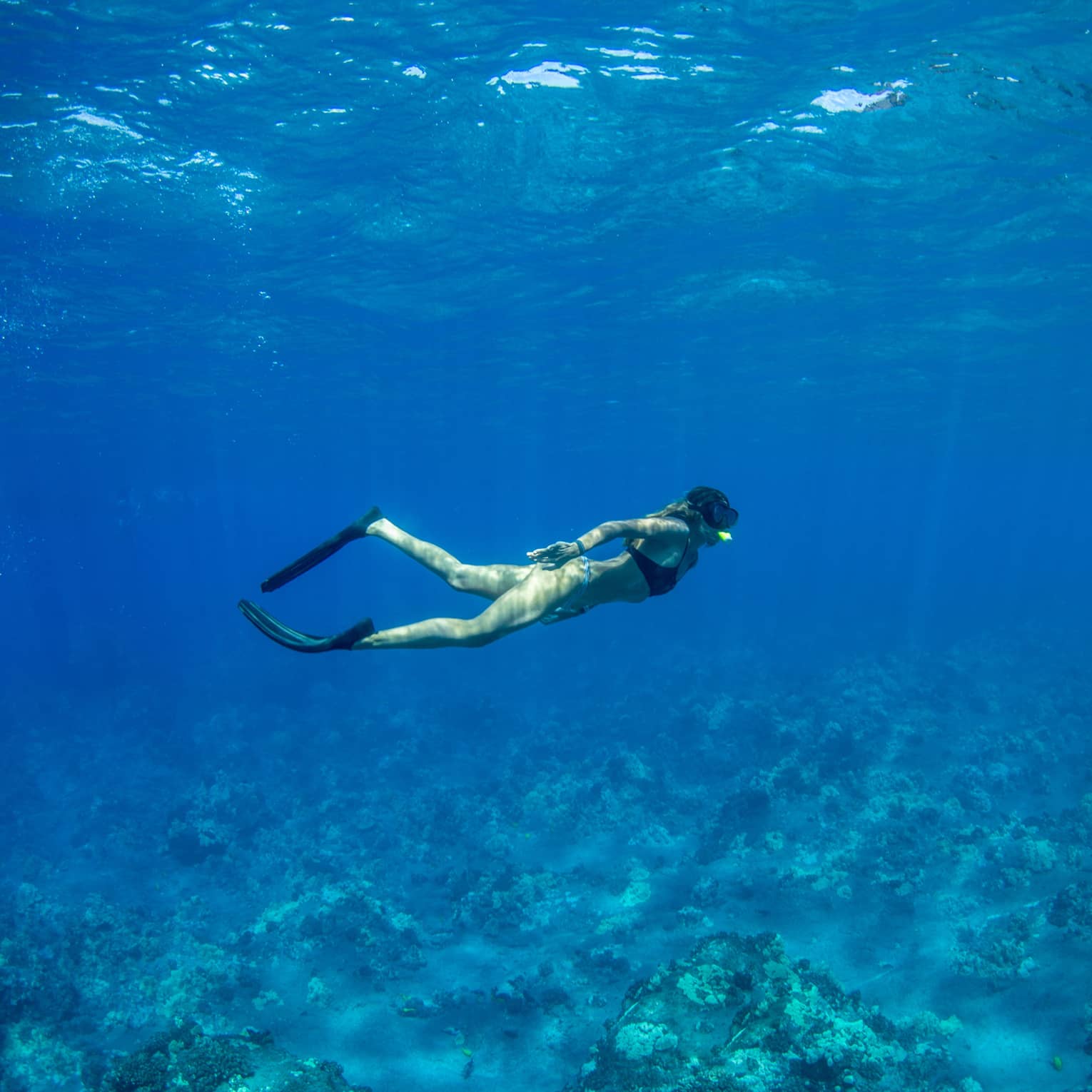 A snorkeller in black flippers and mask explores a rocky coral reef below, as rays of sunlight filter from above the blue water.