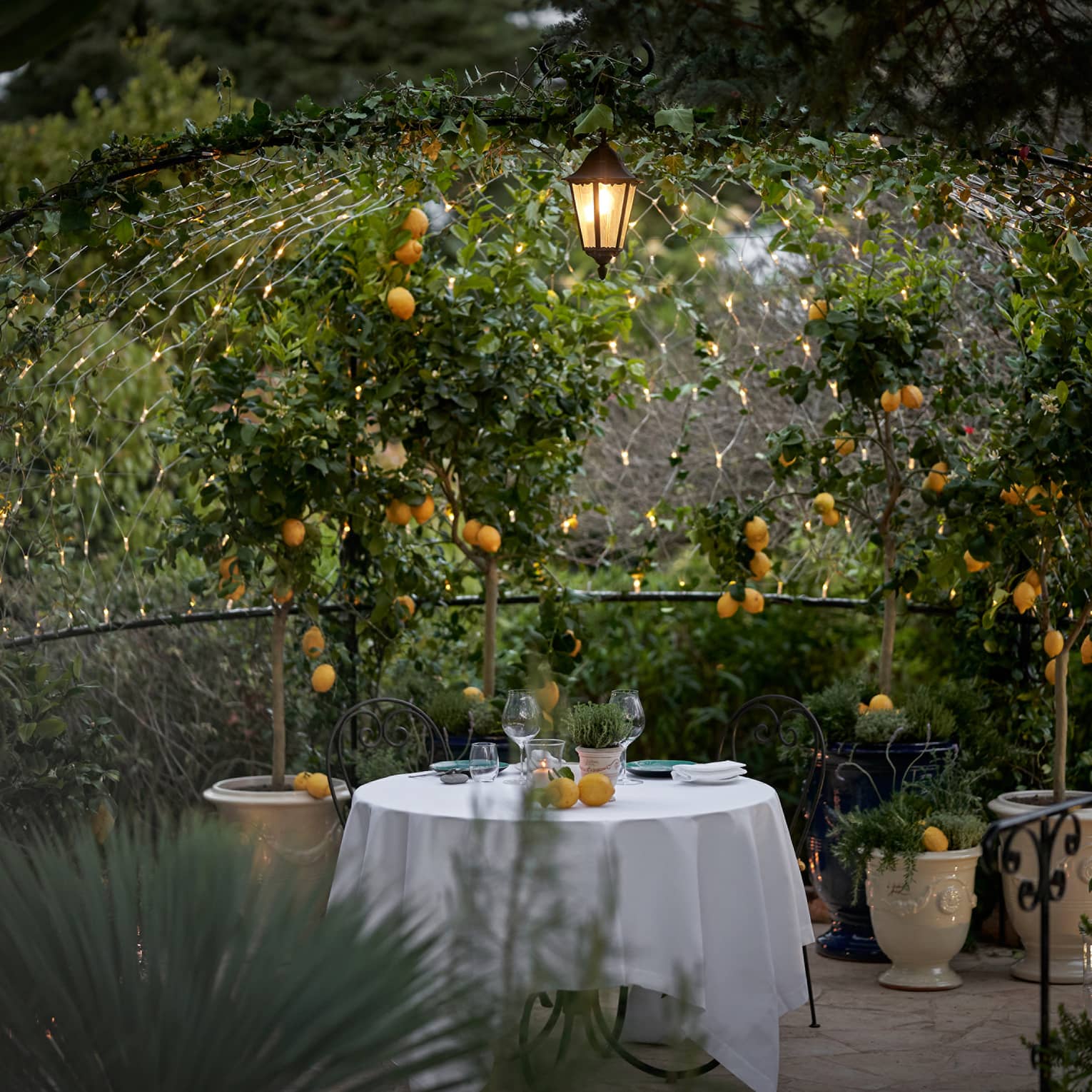 Looking into a secret garden with a table covered in a white cloth placed in the middle of it, orange flowers and green leaves are all around.