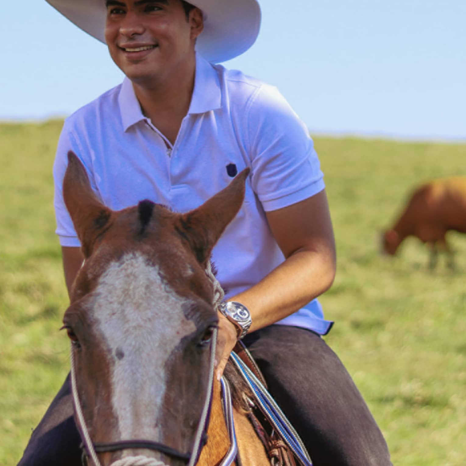A grinning horseback rider in a white cowboy hat rides through a vast plain of green grass, cattle grazing in the background.