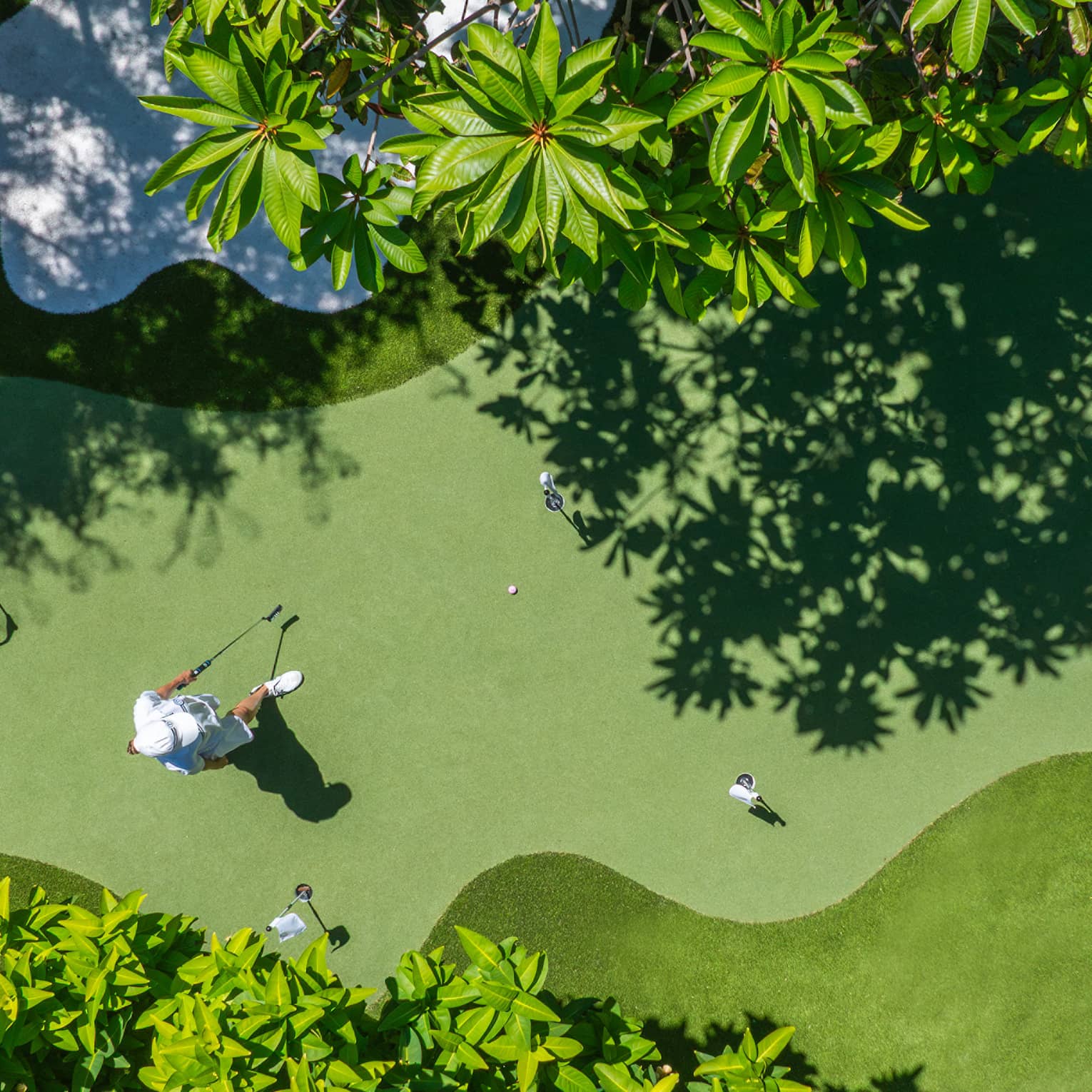 Bird's-eye view of a verdant putting green surrounded by manicured grass and palm trees