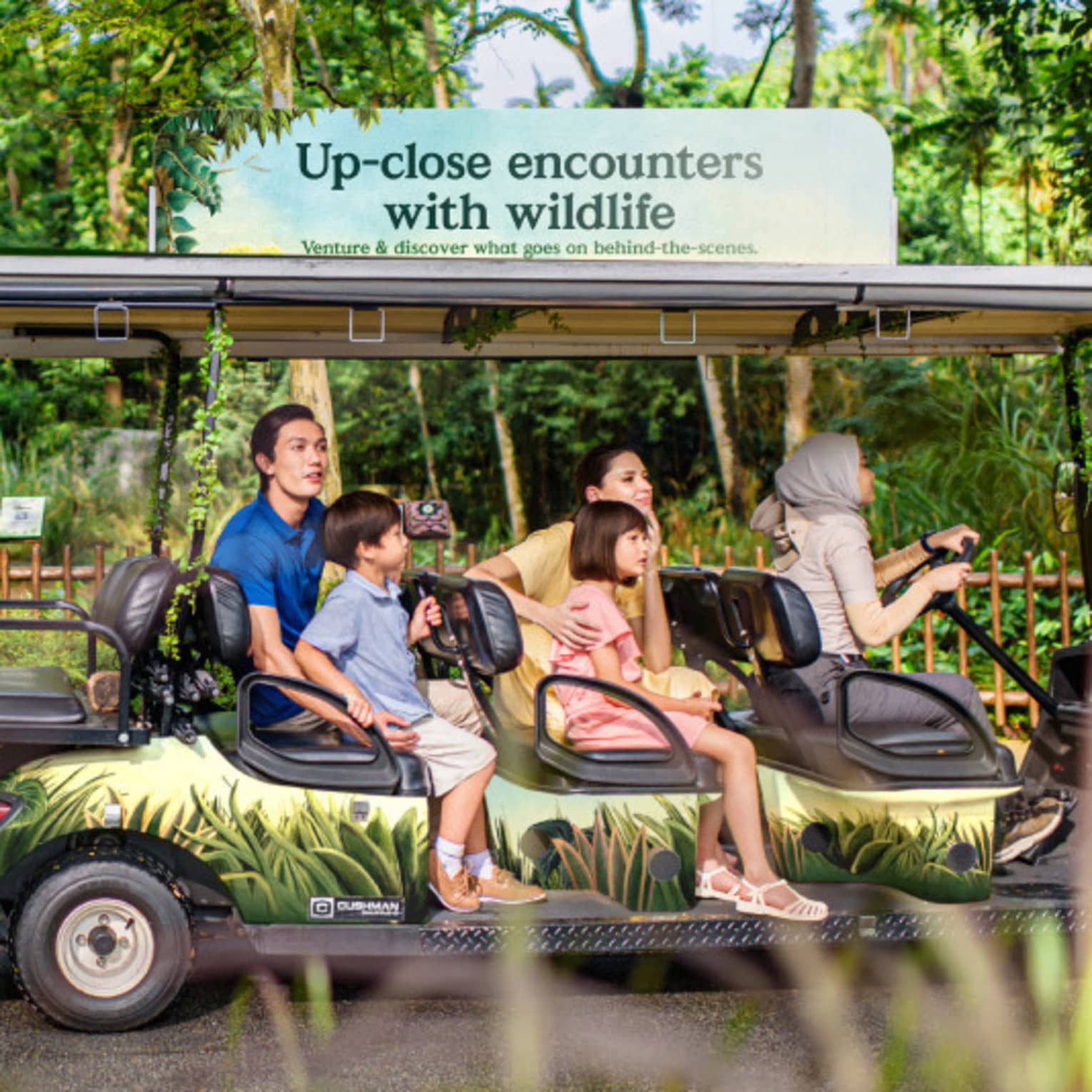 Surrounded by lush greenery, four guests are chauffeured in a large golf cart past an exhibit with two cheetahs.