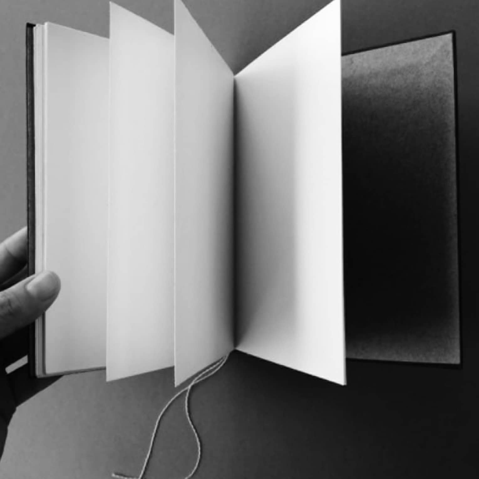 Person holding a journal with blank pages.