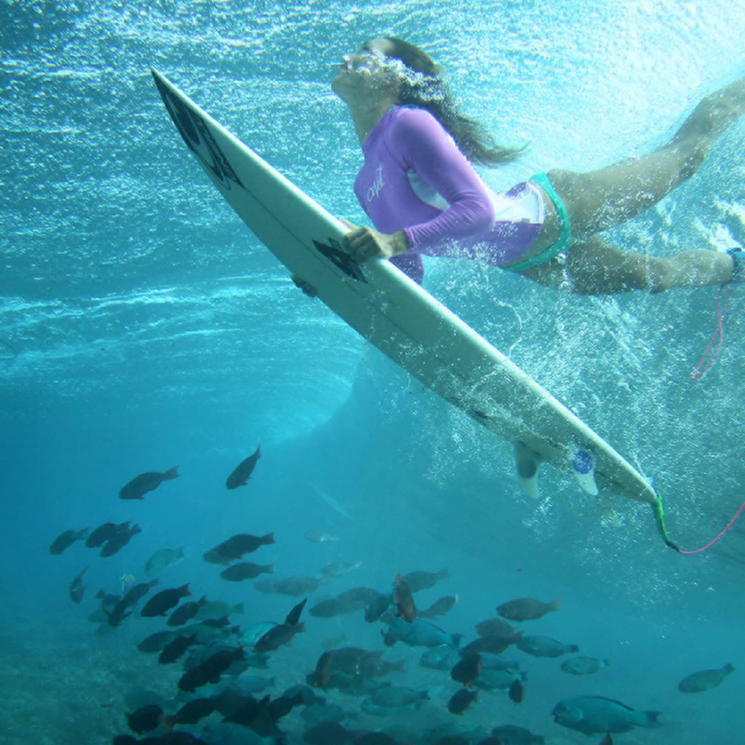 Céline Gehret, ascending from the water above a school of fish as she surfs in the Maldives