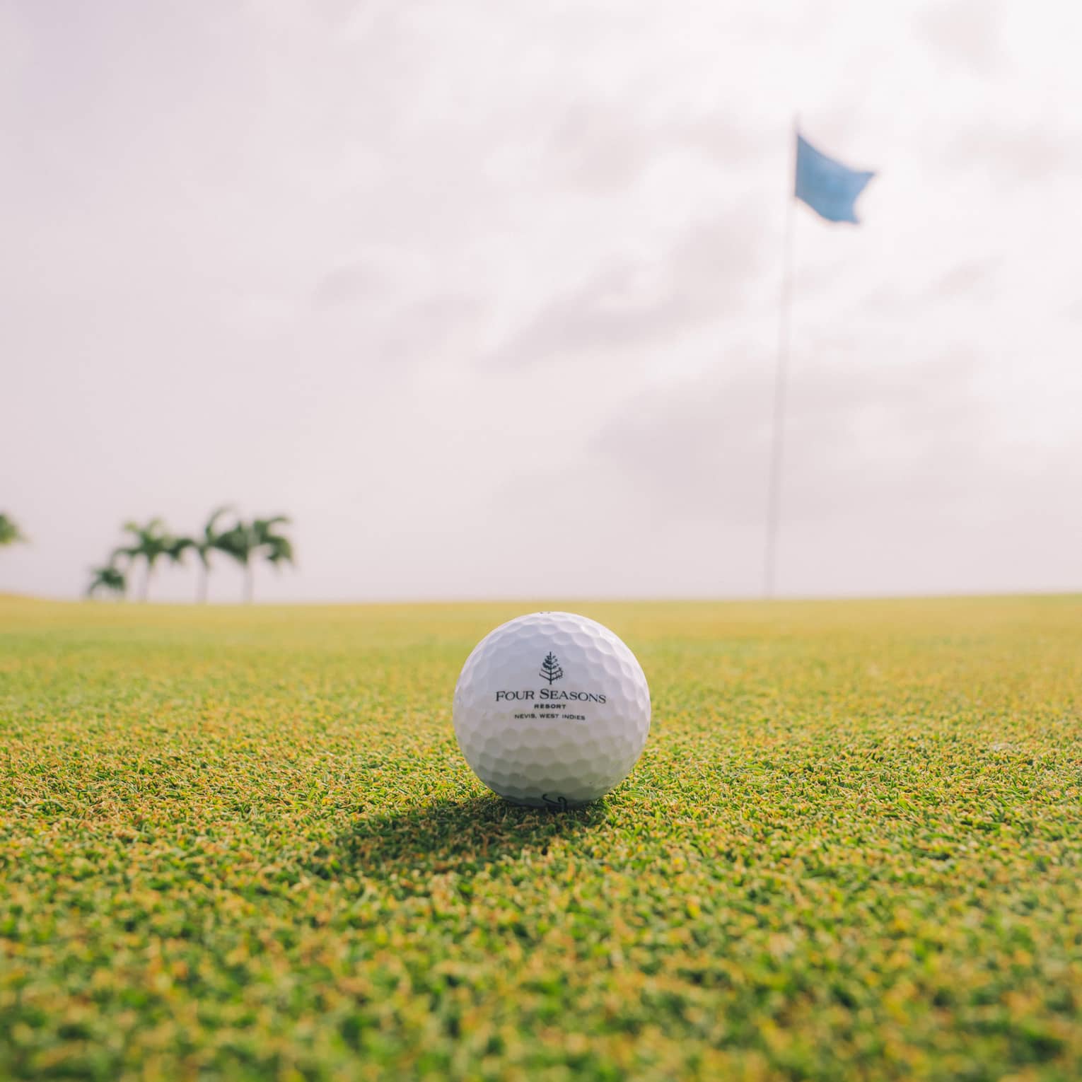 A close-up of a golf ball on a golf course green, with a flag in the background, as well as far off trees and a bright cloudy sky