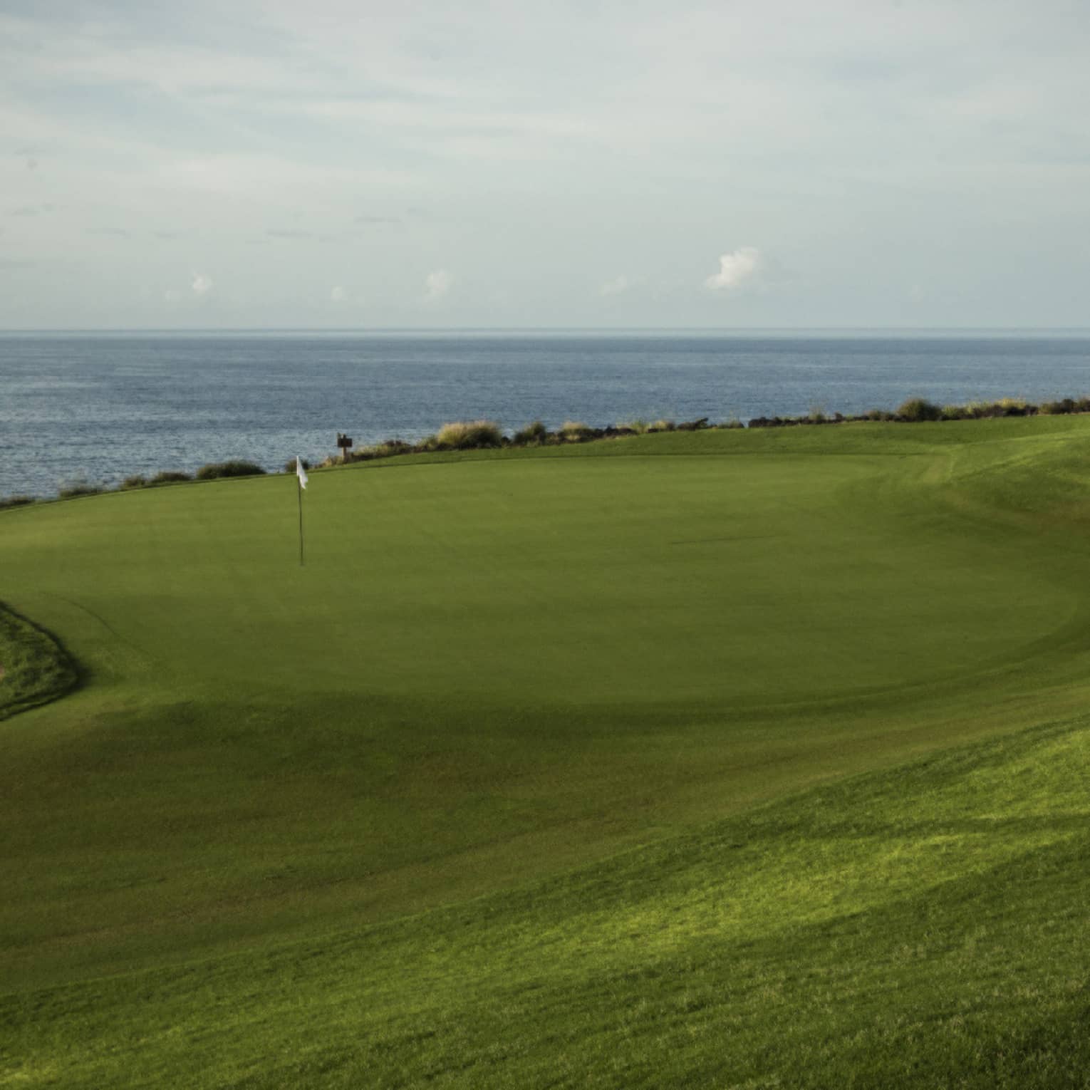 Swirly-shaped golf green with white flag, sandy bunker to the left, lone tree to the right, slate-blue ocean in the distance.