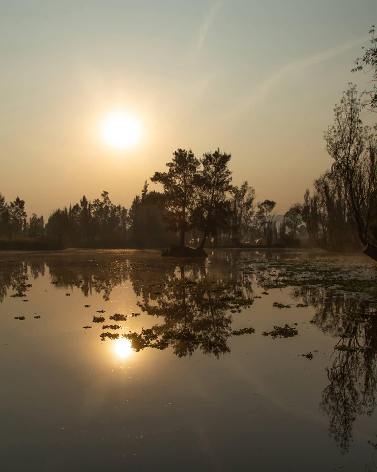 Sunset on lake with trees surrounding.