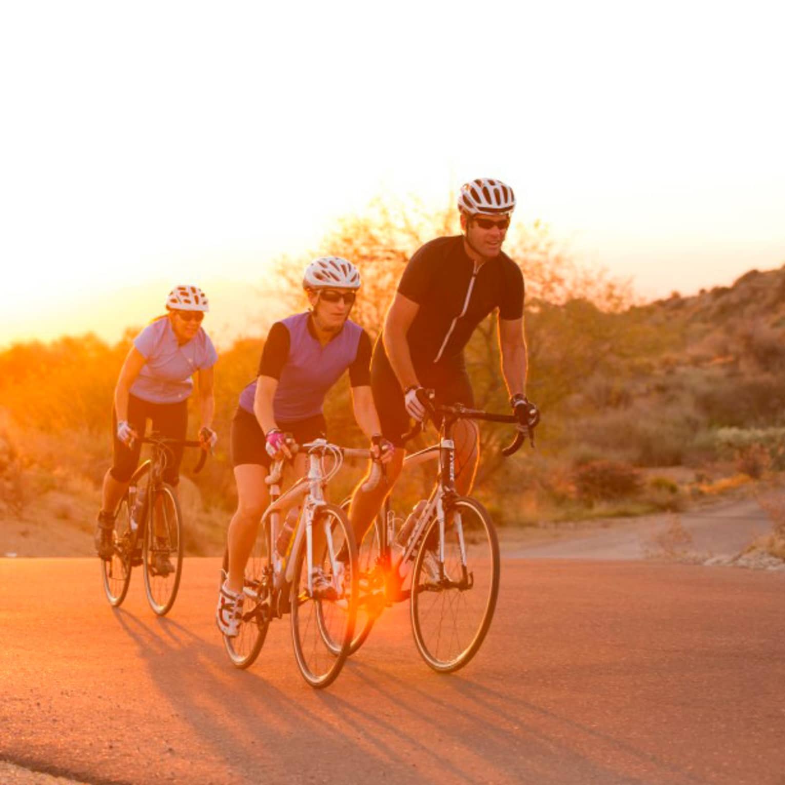 Three cyclists ride on desert path past large cactus at sunset