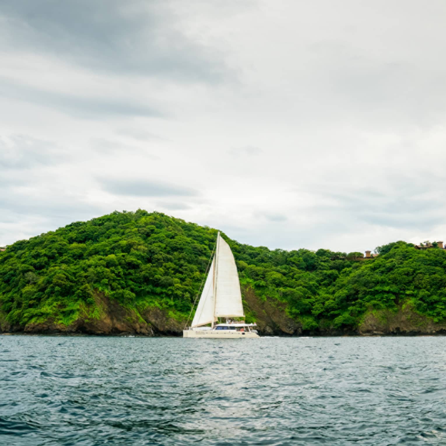 Catamaran boat with white sail on ocean in front of green mountain