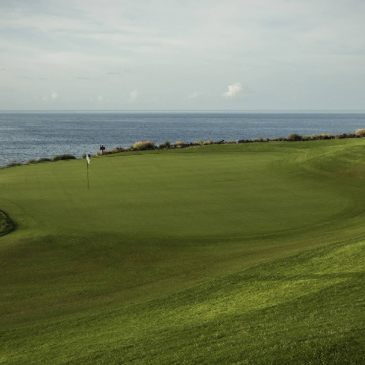 Swirly-shaped golf green with white flag, sandy bunker to the left, lone tree to the right, slate-blue ocean in the distance.