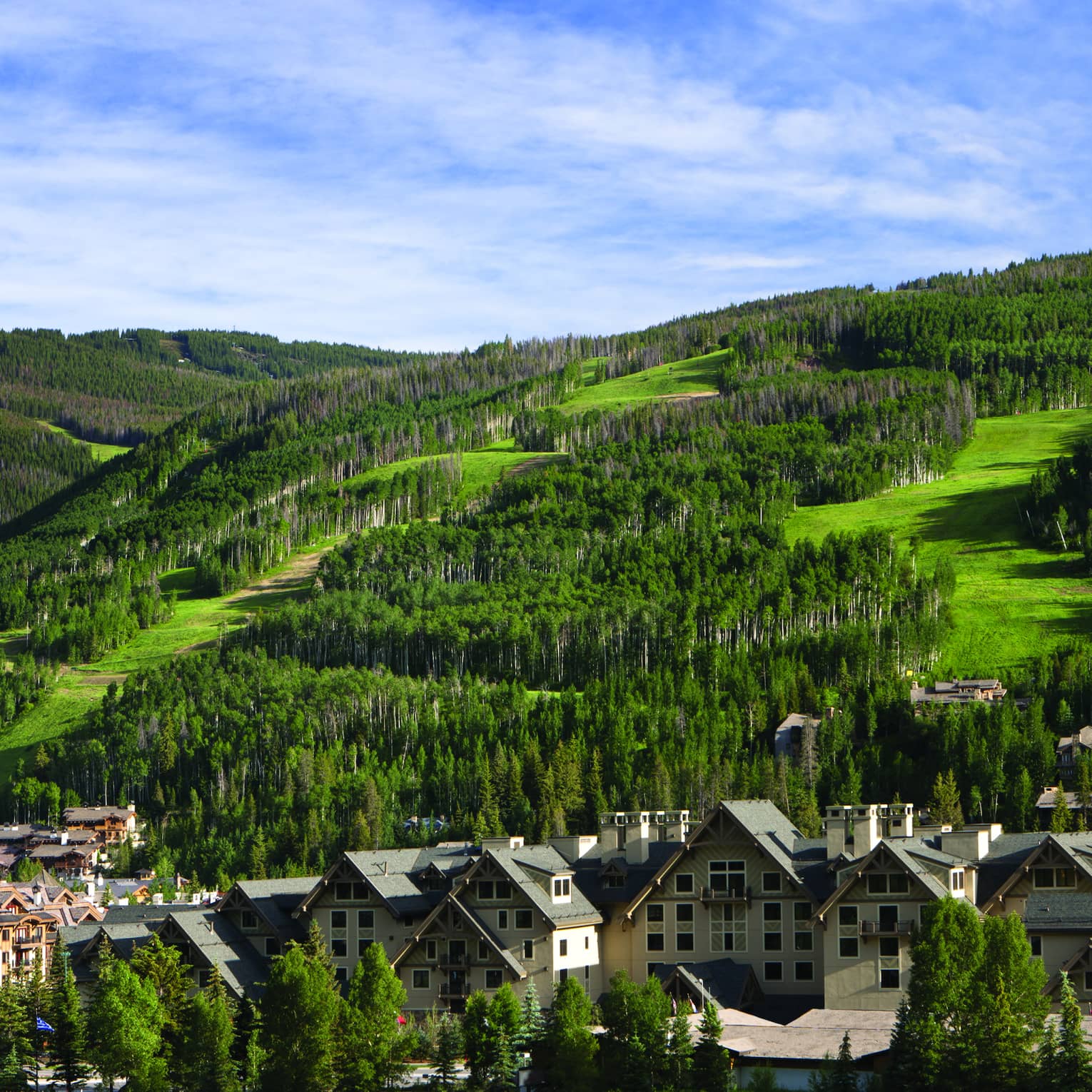 Green ski hills on mountain during summer, resort at bottom of hills