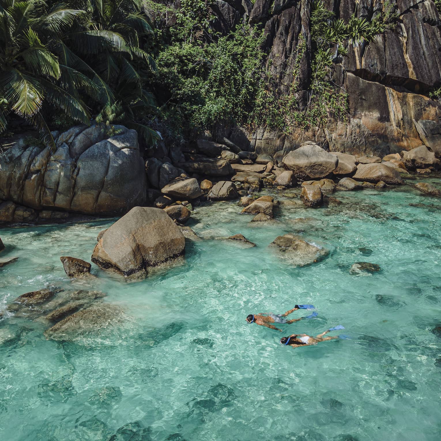 Palm trees over large rocks in turquoise sea along shore on La Digue Island, Seychelles
