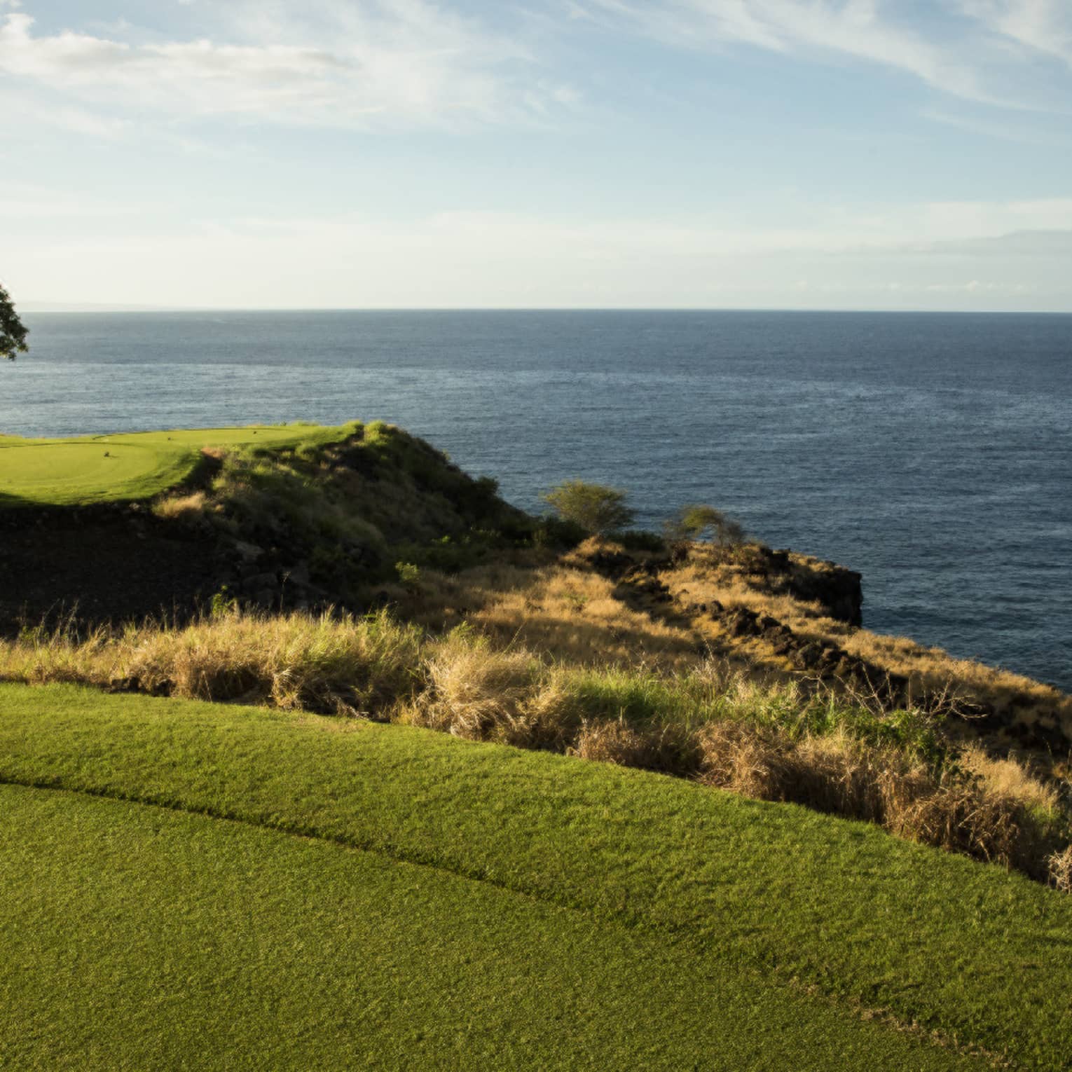 View from a manicured golf course set atop a coastline with grassy outcroppings and rocks below, ocean and clear sky beyond.