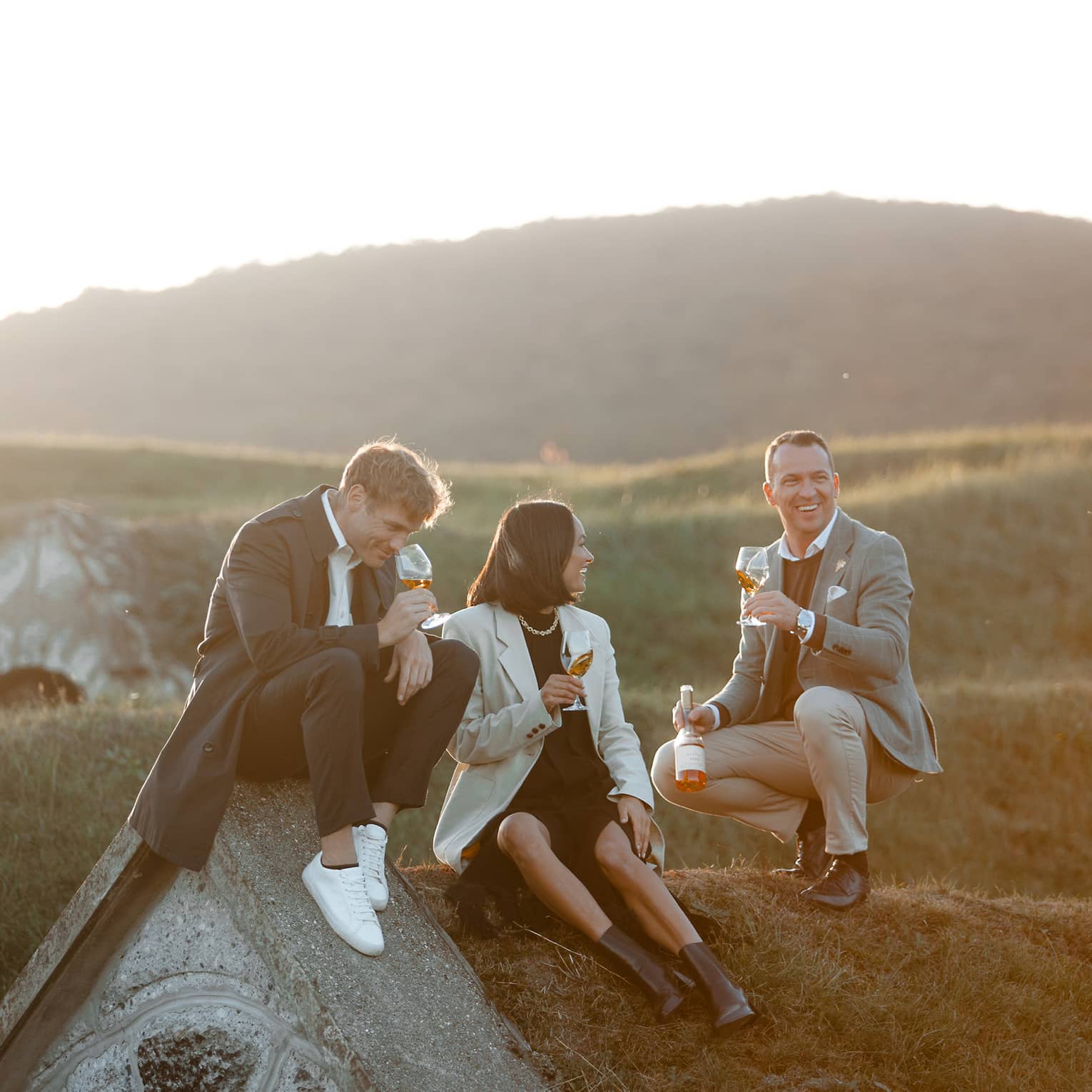 A group of people sitting outdoors on a grassy hill, enjoying glasses of wine together in the warm evening light.