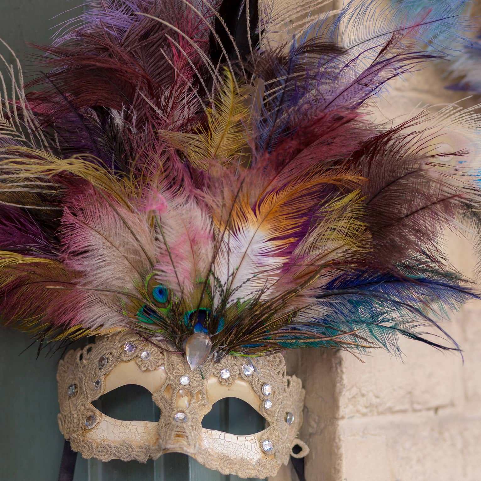 Colourful Mardi Gras mask with peacock feathers