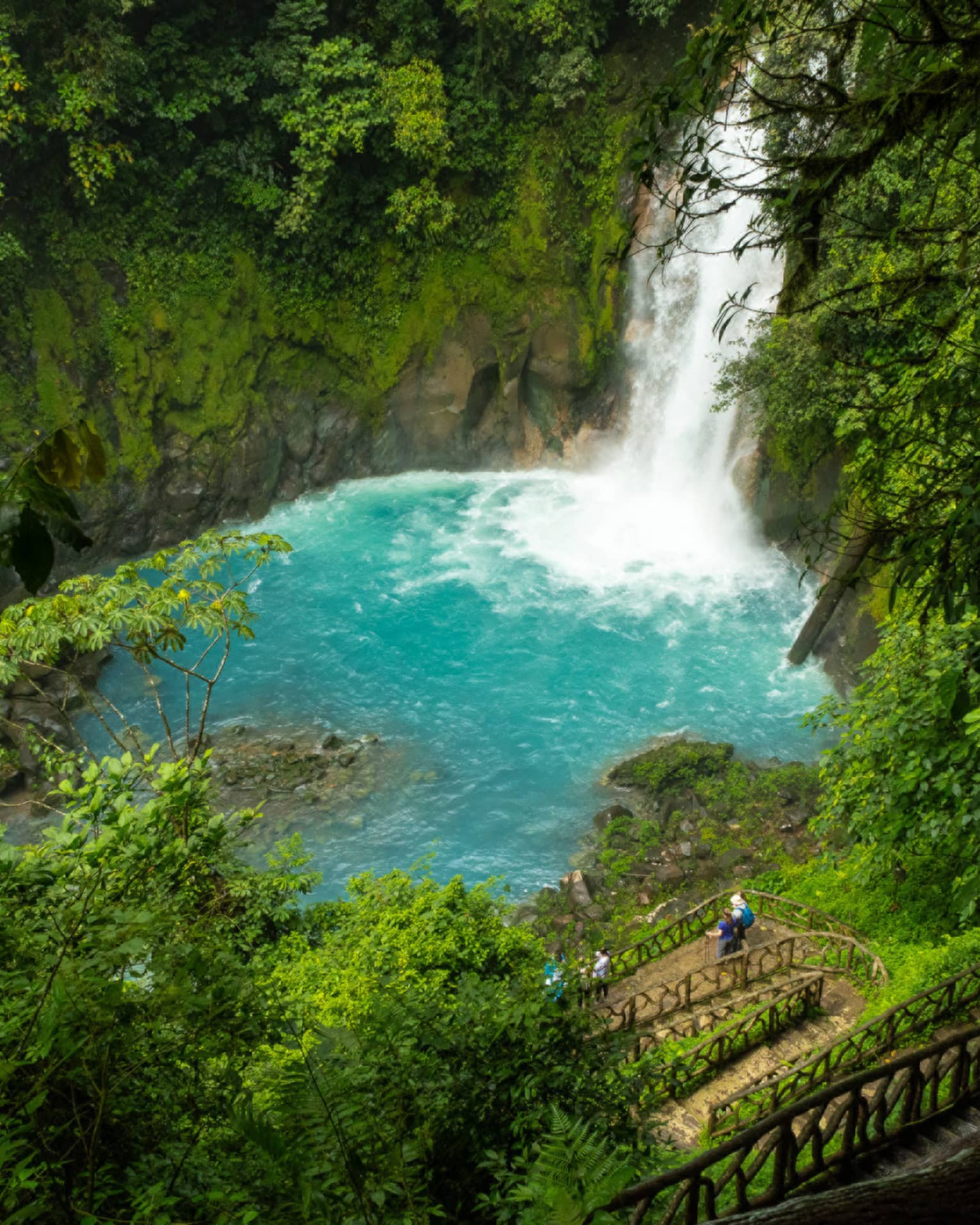 Waterfall surrounded by deep green jungle