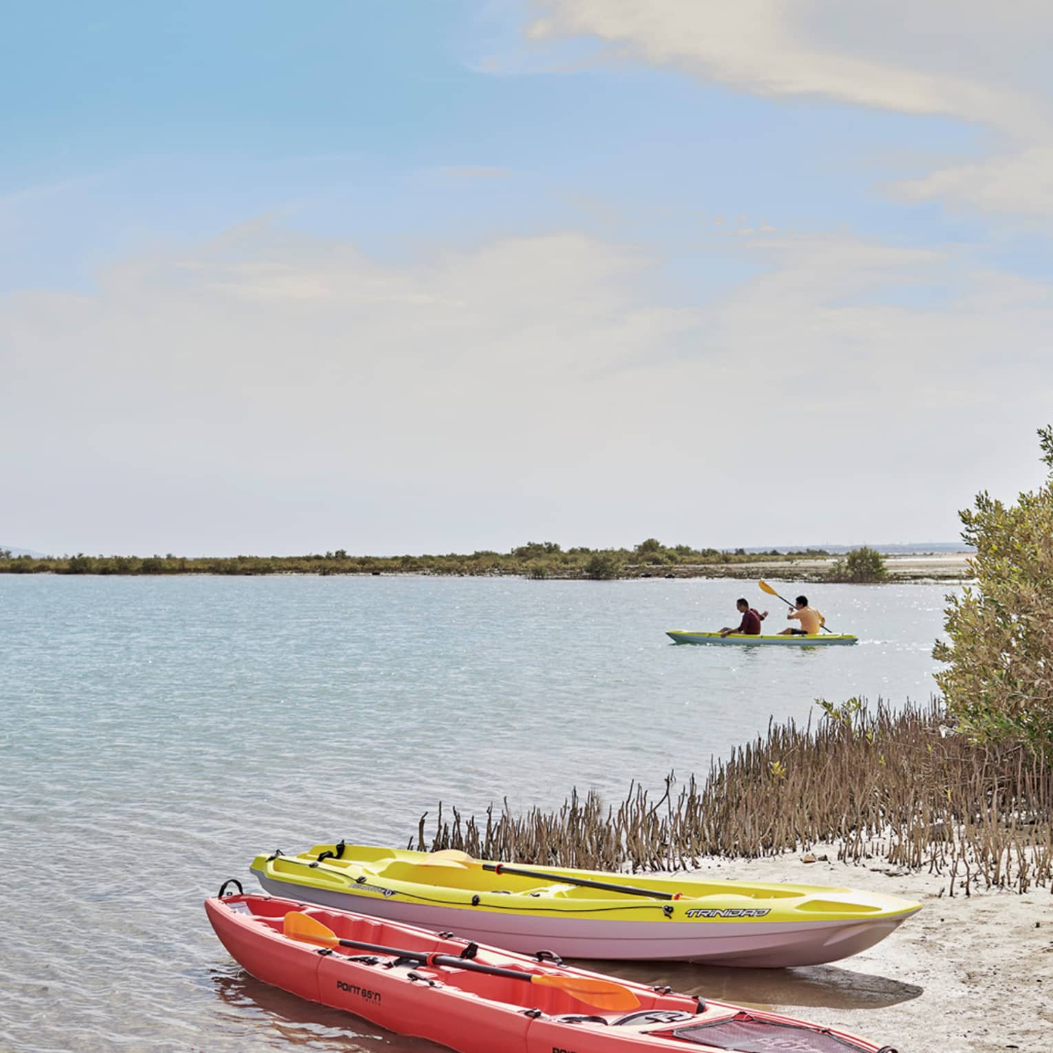 Two beached kayaks – one red, one yellow – amid grass and shrubs; two people paddling in a tandem kayak in the distance.