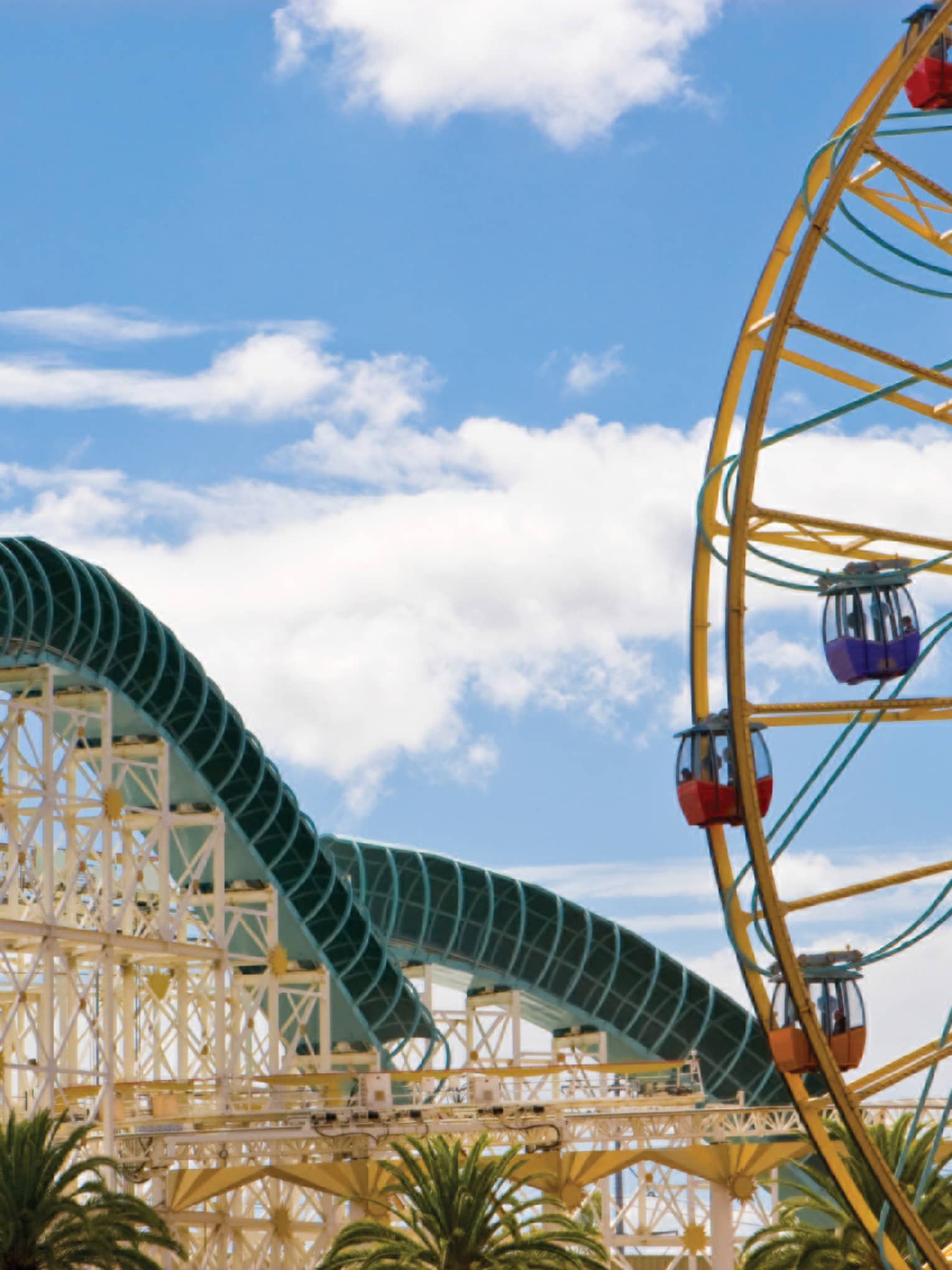 Side view of amusement park roller coaster track, ferris wheel over palm trees