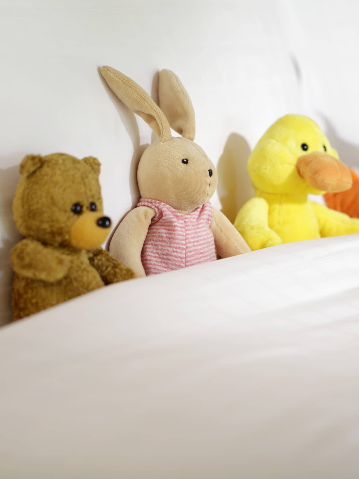 Stuffed bear, bunny and ducks tucked into hotel bed blanket against pillow