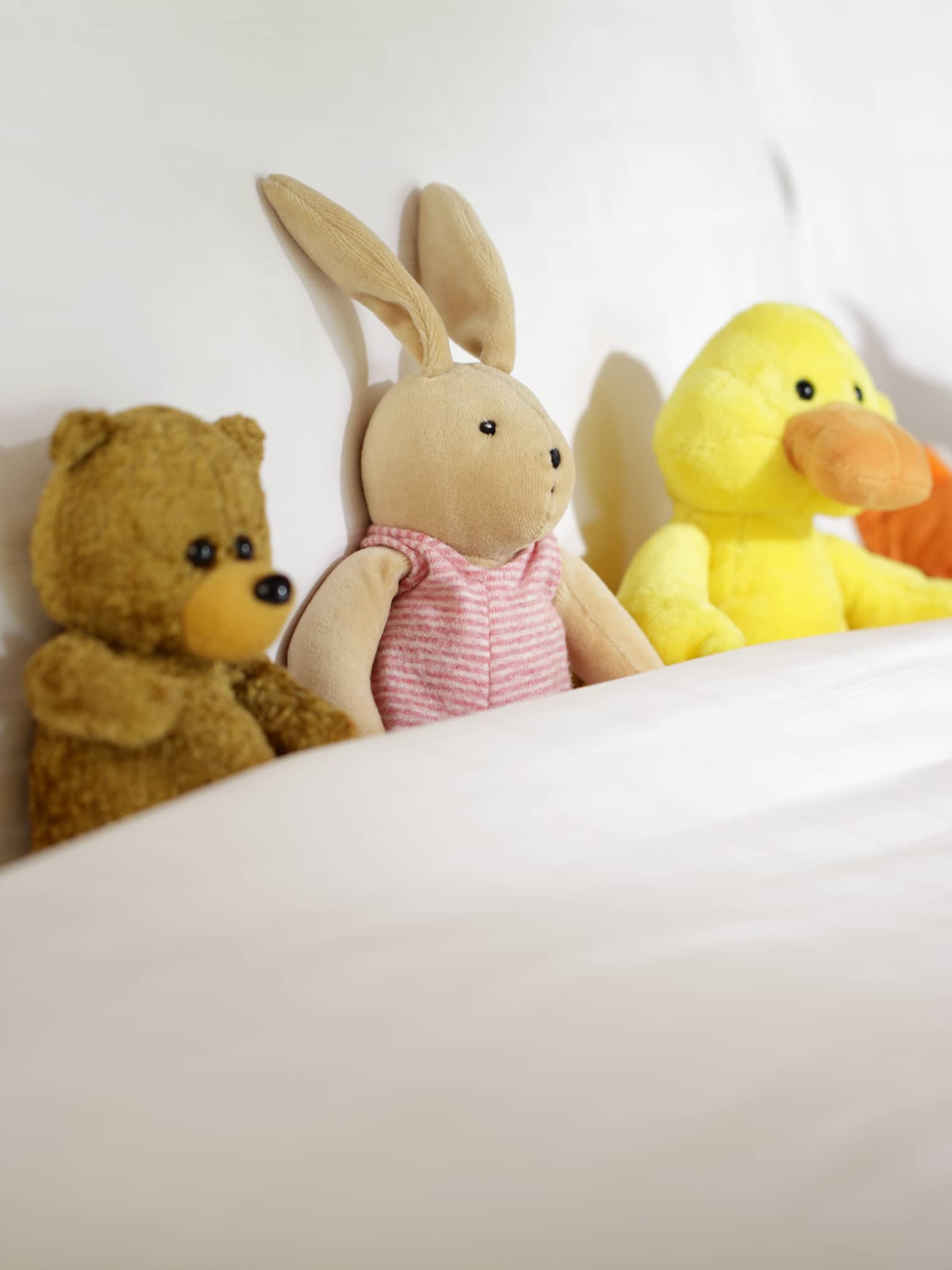 Stuffed bear, bunny and ducks tucked into hotel bed blanket against pillow