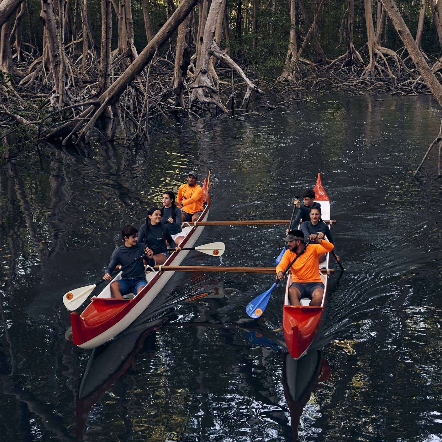 Two red-and-white canoes each holding four people glide through the water between mangrove trees