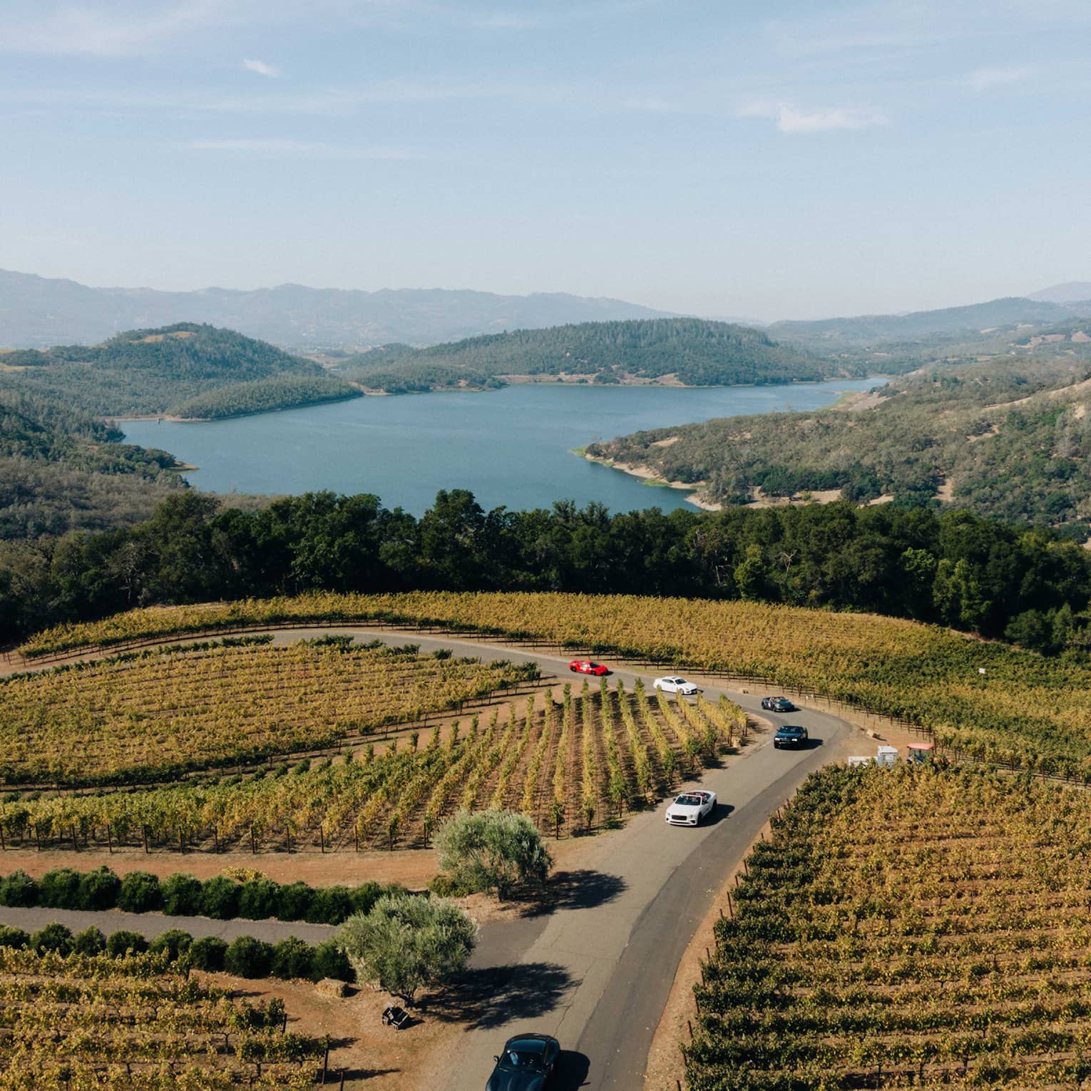 Aerial view of cars driving through a vineyard in Napa Valley