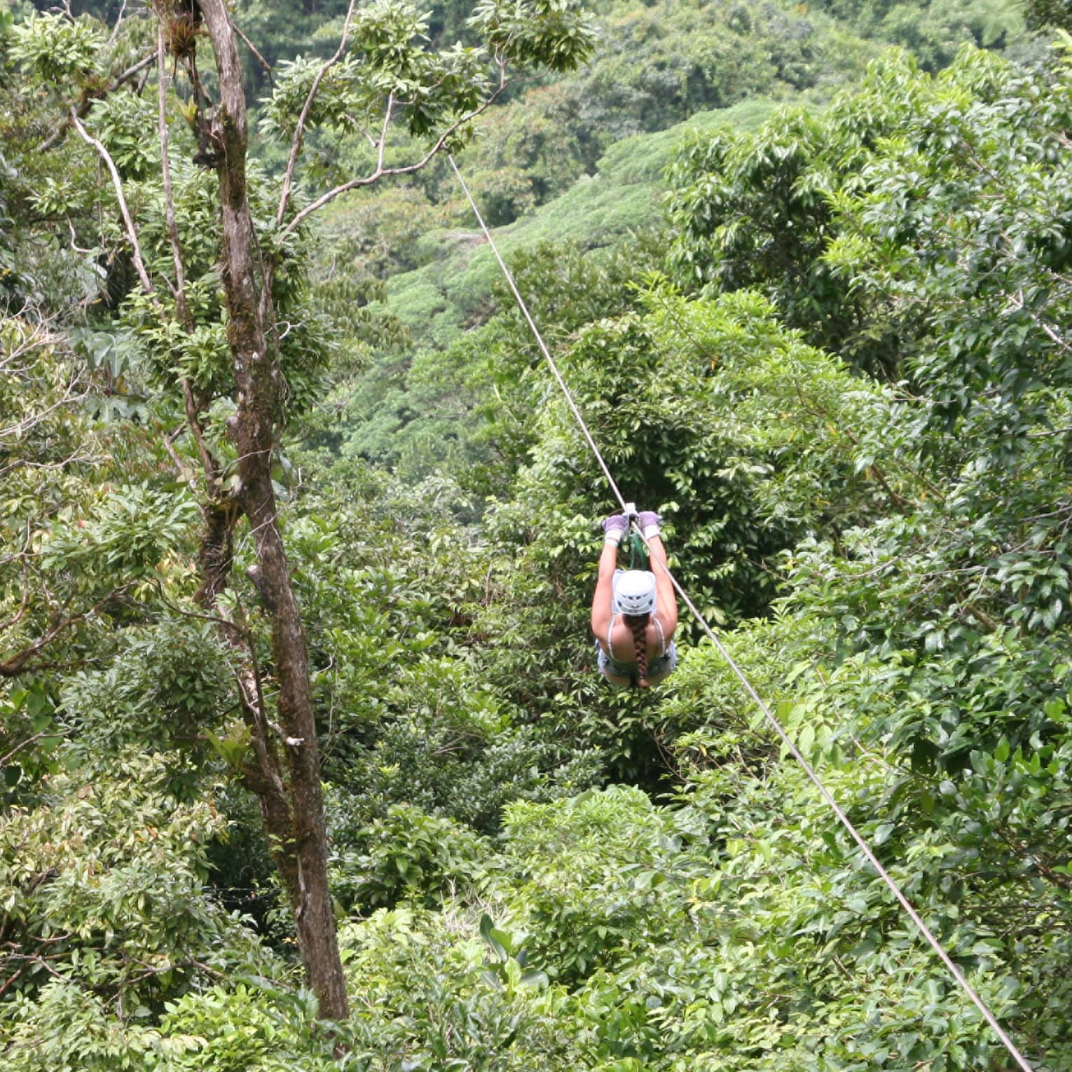 Aerial view of a person zip-lining through dense forest. Gripping the handlebars, the adventurer soars above towering trees.