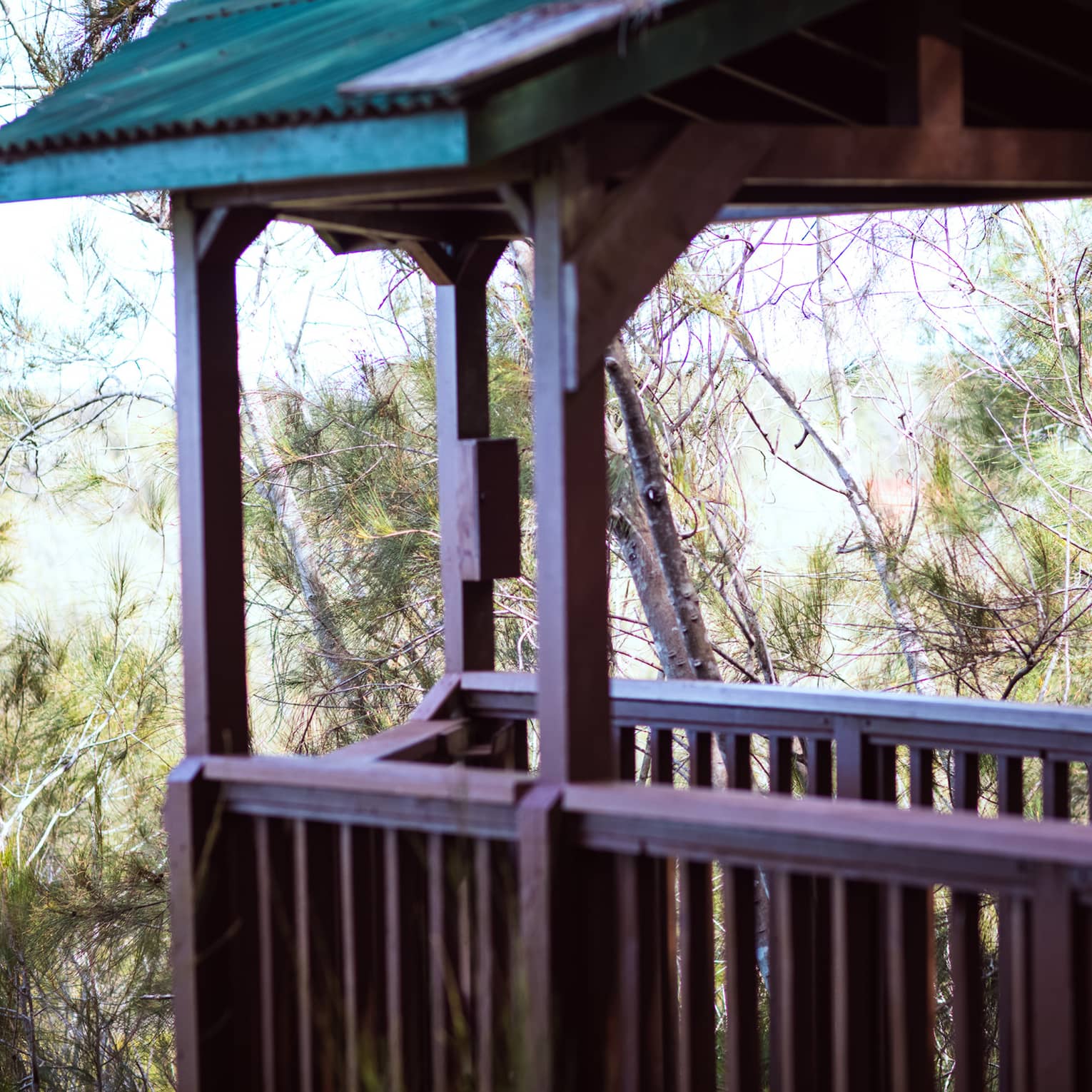 A narrow wooden platform with railings and a small, pitched roof extends into evergreen treetops overlooking a lush valley.
