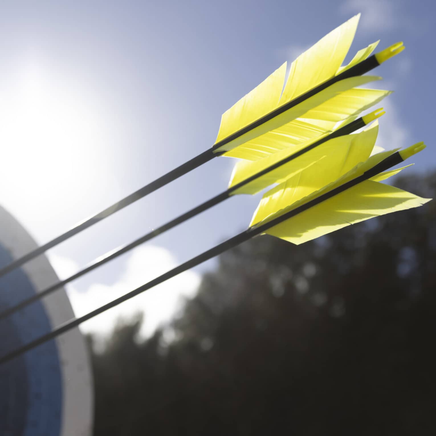 A close-up of yellow feathered arrows that had struck the bull’s eye of a heavily used ringed archery target on a sunny day.