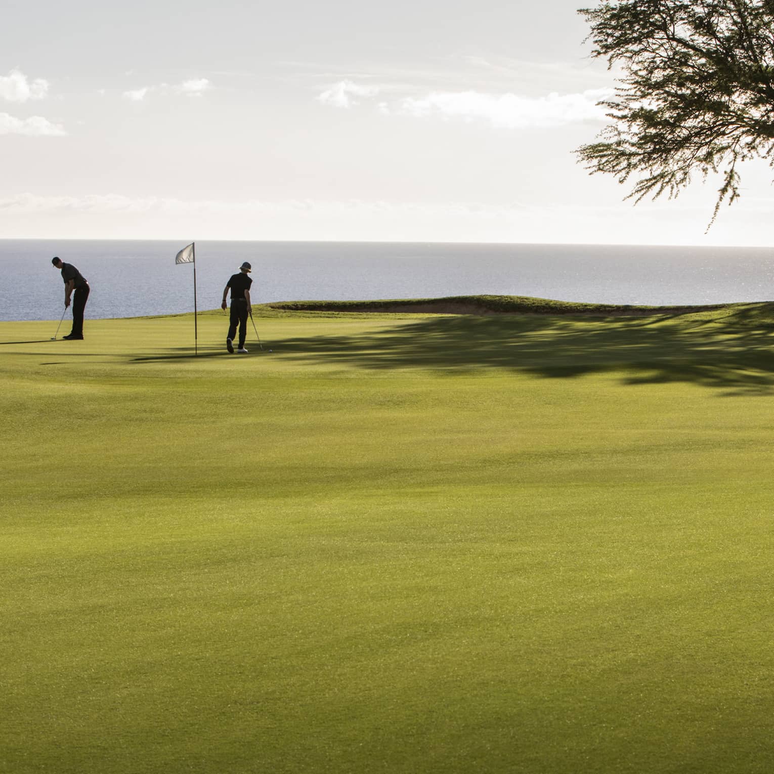 Long view of two golfers on a green flanked by a bunker and tree, silhouetted against a shimmering ocean backdrop.