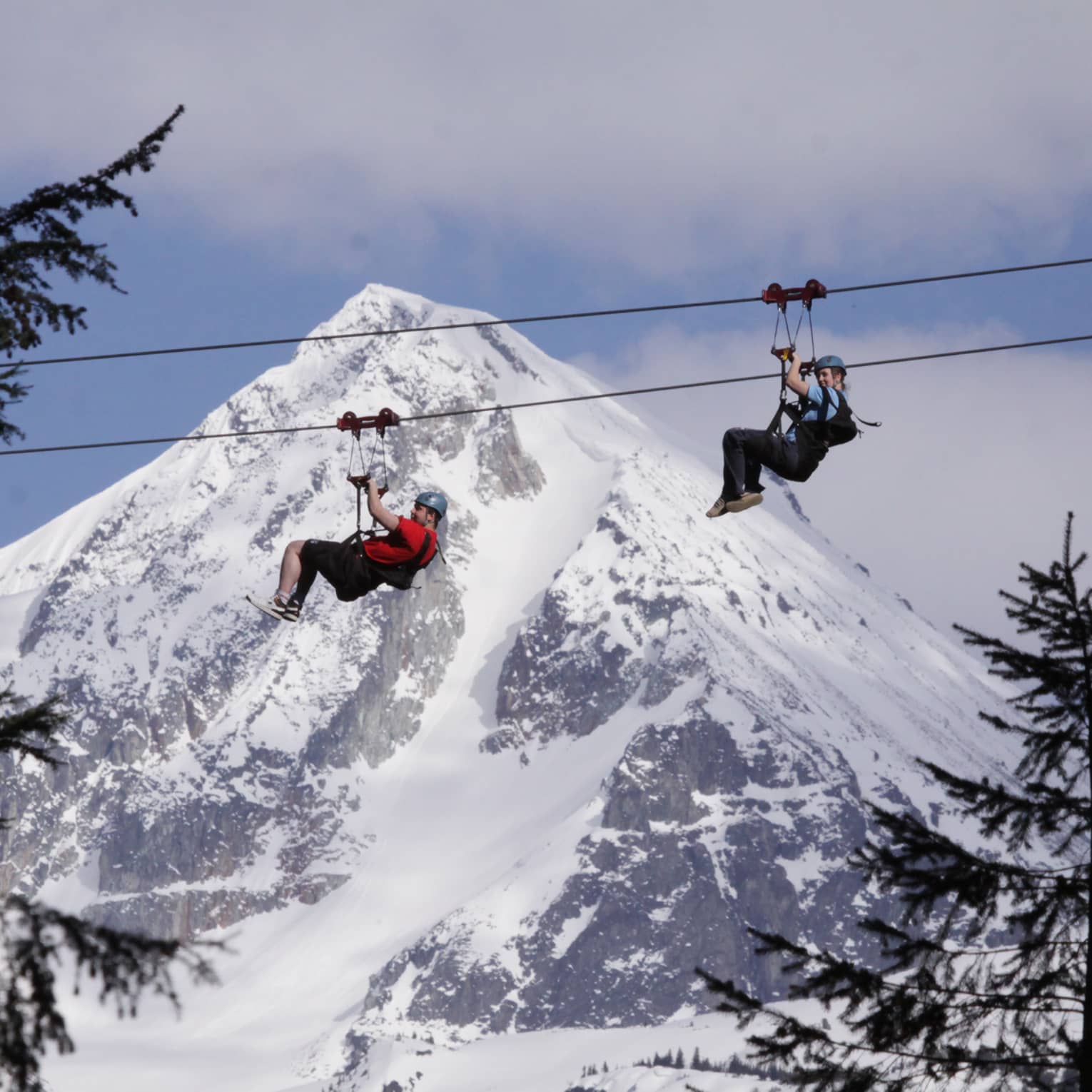 Two people zipline past pine trees with snowy mountain in background
