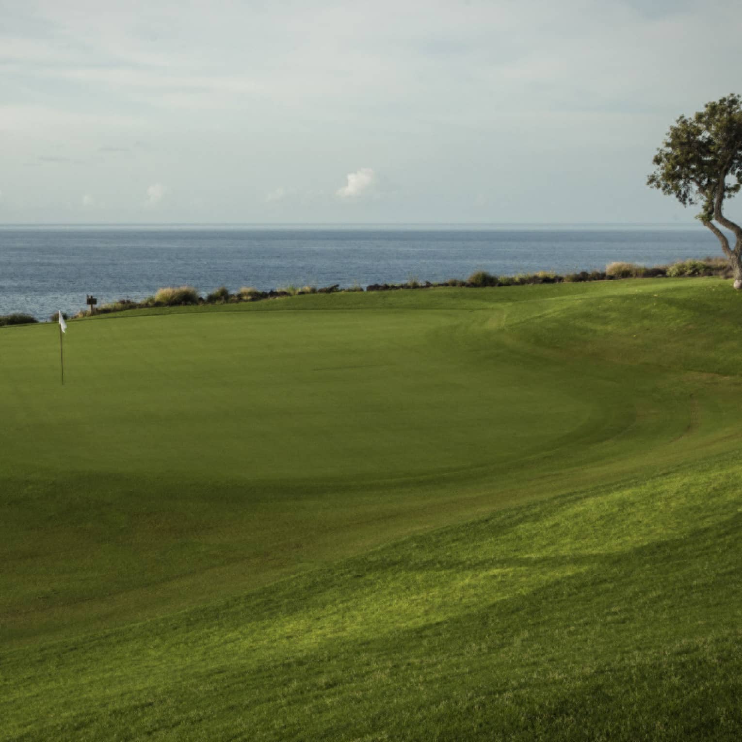 Swirly-shaped golf green with white flag, sandy bunker to the left, lone tree to the right, slate-blue ocean in the distance.