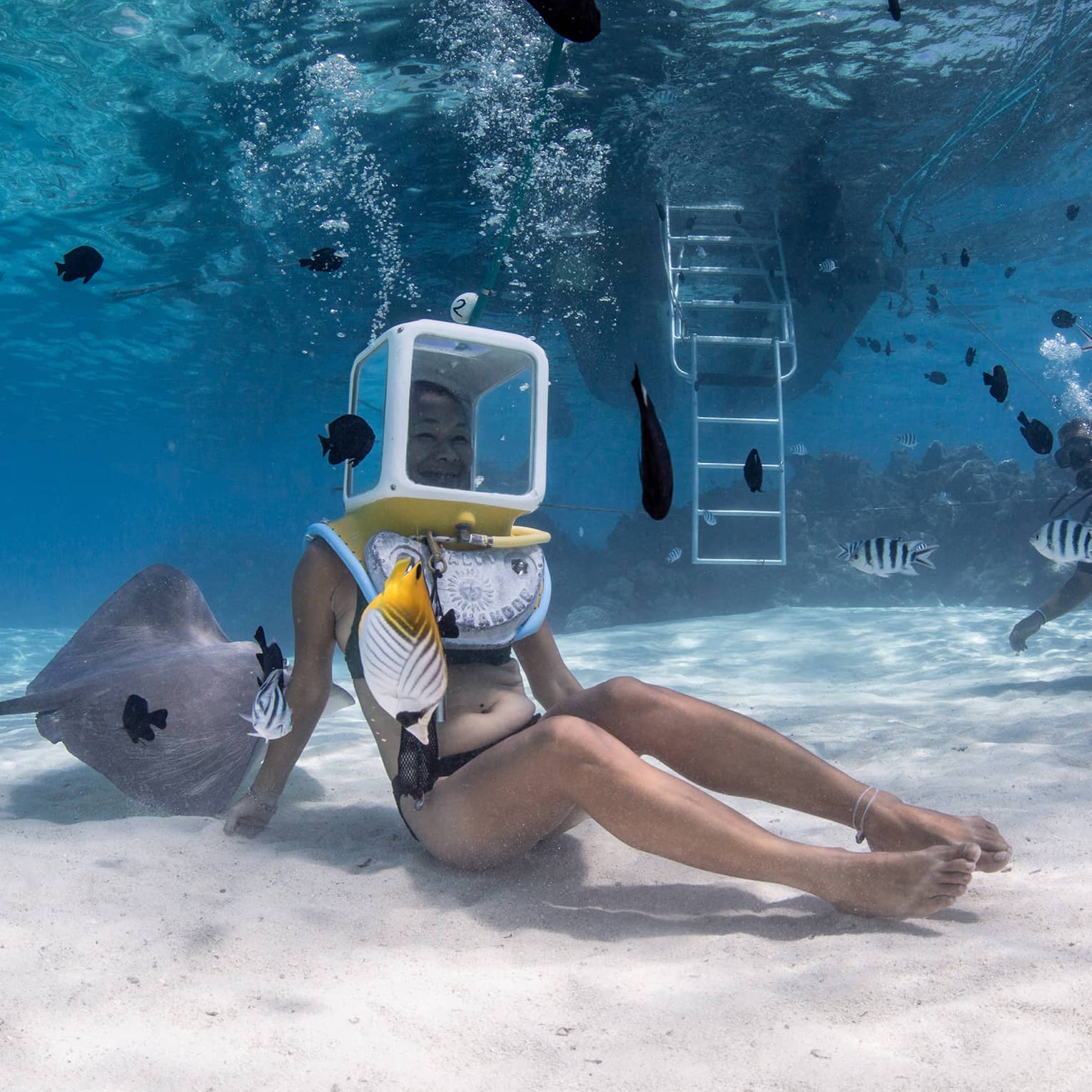 A diver sits on the ocean floor, their head encased in a glass helmet attached to a hose as rays and bright fish swim nearby.