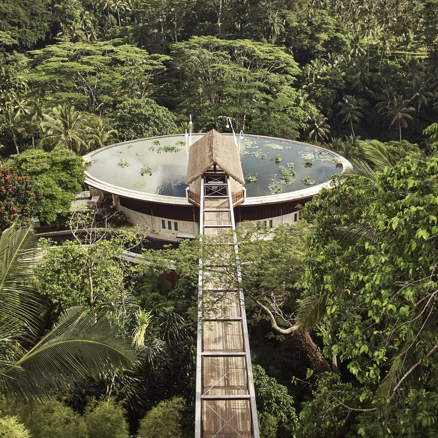 Aerial view of large water-filled lotus pond rooftop pool surrounded by lush palms and forest, long wood footbridge