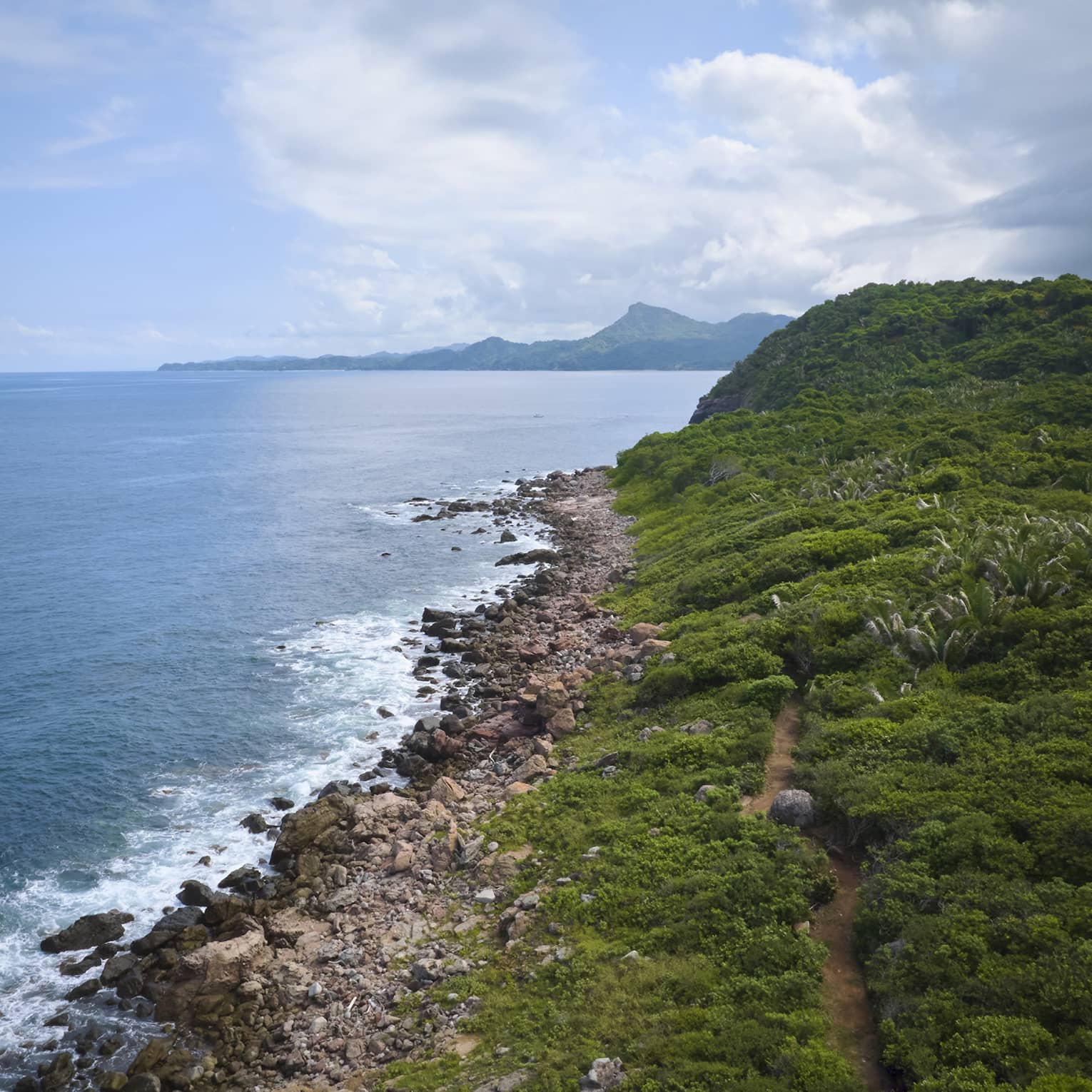 A beach shore covered in green and rocky sand.
